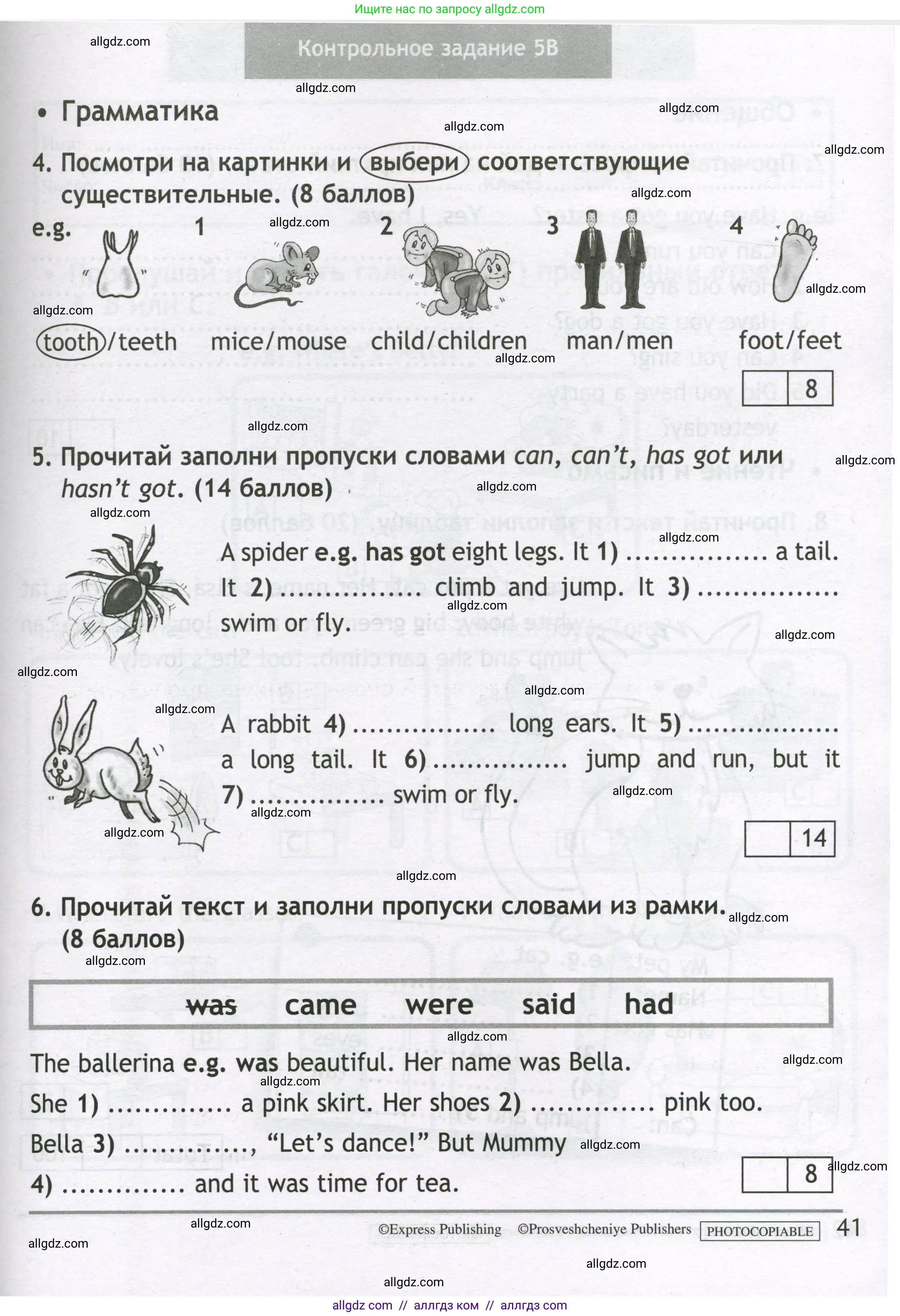 Английский язык (english), 3 класс контрольные задания (test booklet), авторы: Быкова Надежда Ильинична (Bykova Nadezhda), Дули Дженни (Dooley Jenny), Поспелова Марина Давидовна (Pospelova Marina), Эванс Вирджиния (Evans Virginia), издательство Просвещение, Москва, 2023, салатового цвета, страница 41