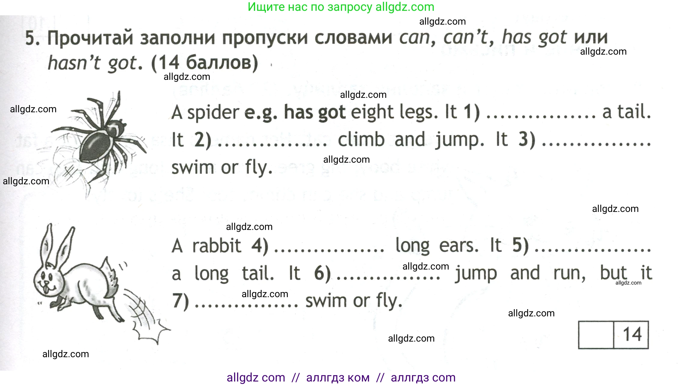 Английский язык (english), 3 класс контрольные задания (test booklet), авторы: Быкова Надежда Ильинична (Bykova Nadezhda), Дули Дженни (Dooley Jenny), Поспелова Марина Давидовна (Pospelova Marina), Эванс Вирджиния (Evans Virginia), издательство Просвещение, Москва, 2023, салатового цвета, страница 41, номер 5, Условие