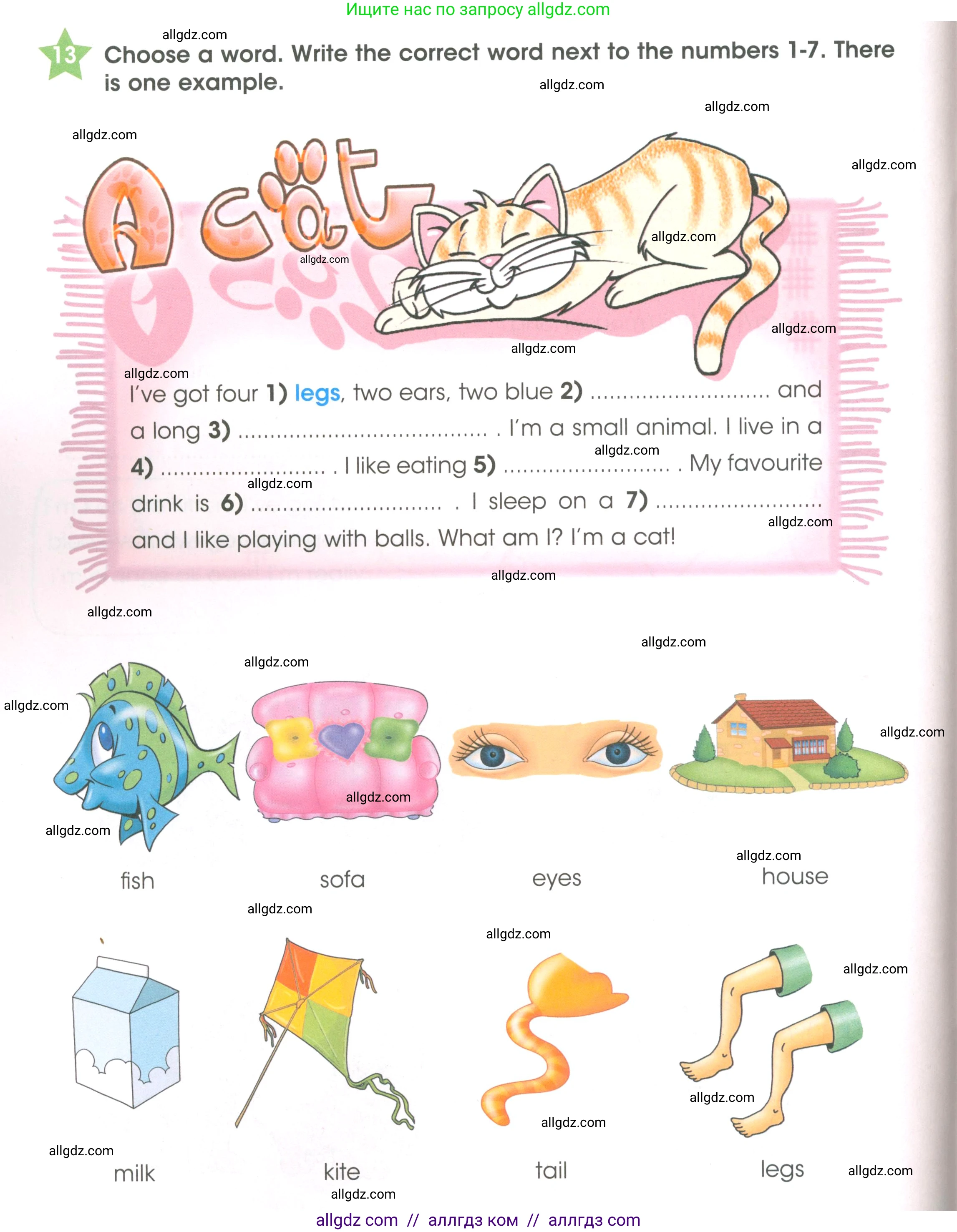 Английский язык (english), 3 класс Рабочая тетрадь (workbook), авторы: Баранова Ксения Михайловна (Baranova Ksenia), Дули Дженни (Dooley Jenny), Копылова Виктория Викторовна (Kopylova Victoria), Мильруд Радислав Петрович (Millrood Radislav), Эванс Вирджиния (Evans Virginia), издательство Просвещение, Москва, 2023, белого цвета, Часть ( Part) 1, страница 38, номер 13, Условие