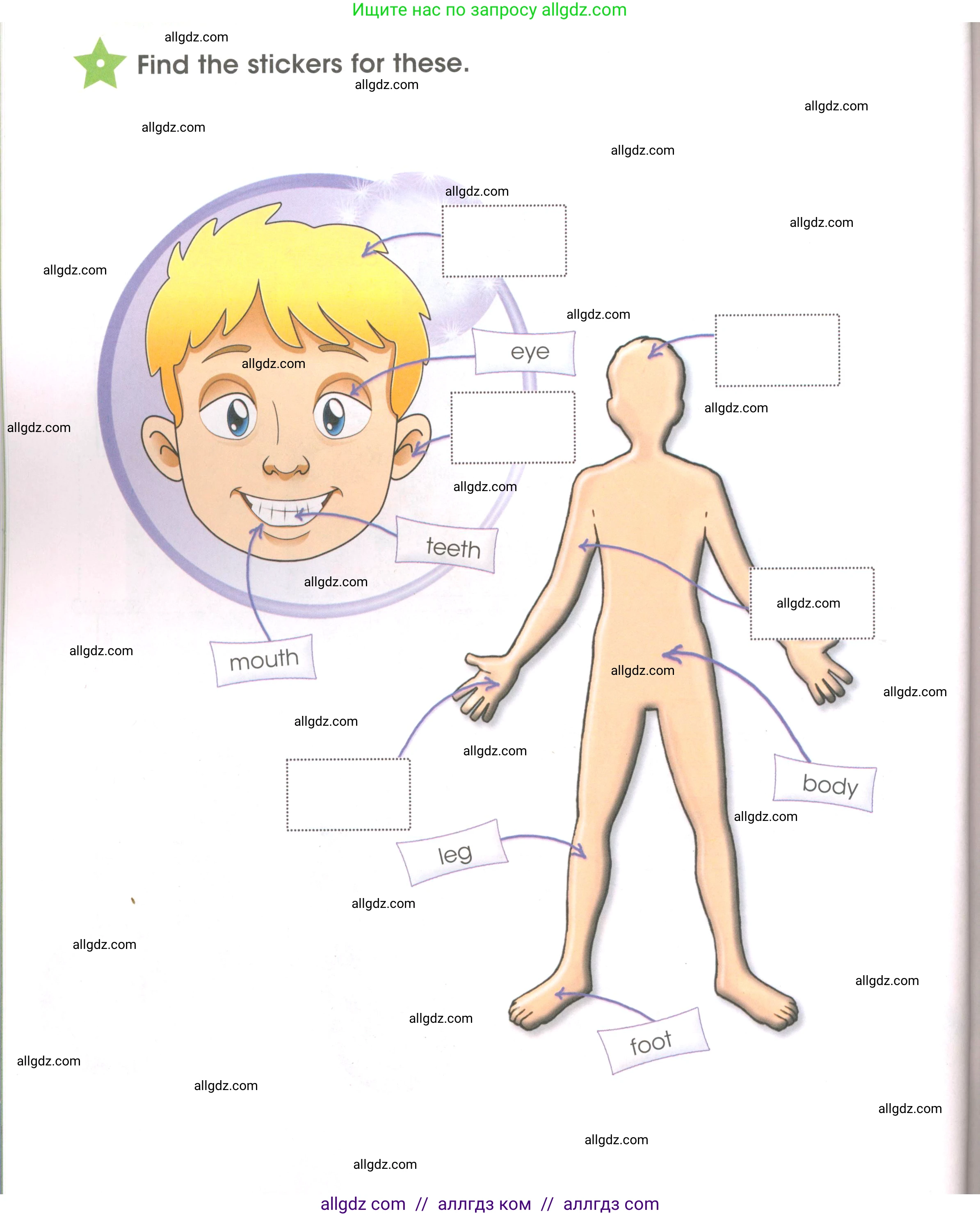 Английский язык (english), 3 класс Рабочая тетрадь (workbook), авторы: Баранова Ксения Михайловна (Baranova Ksenia), Дули Дженни (Dooley Jenny), Копылова Виктория Викторовна (Kopylova Victoria), Мильруд Радислав Петрович (Millrood Radislav), Эванс Вирджиния (Evans Virginia), издательство Просвещение, Москва, 2023, белого цвета, Часть ( Part) 1, страница 66, Условие