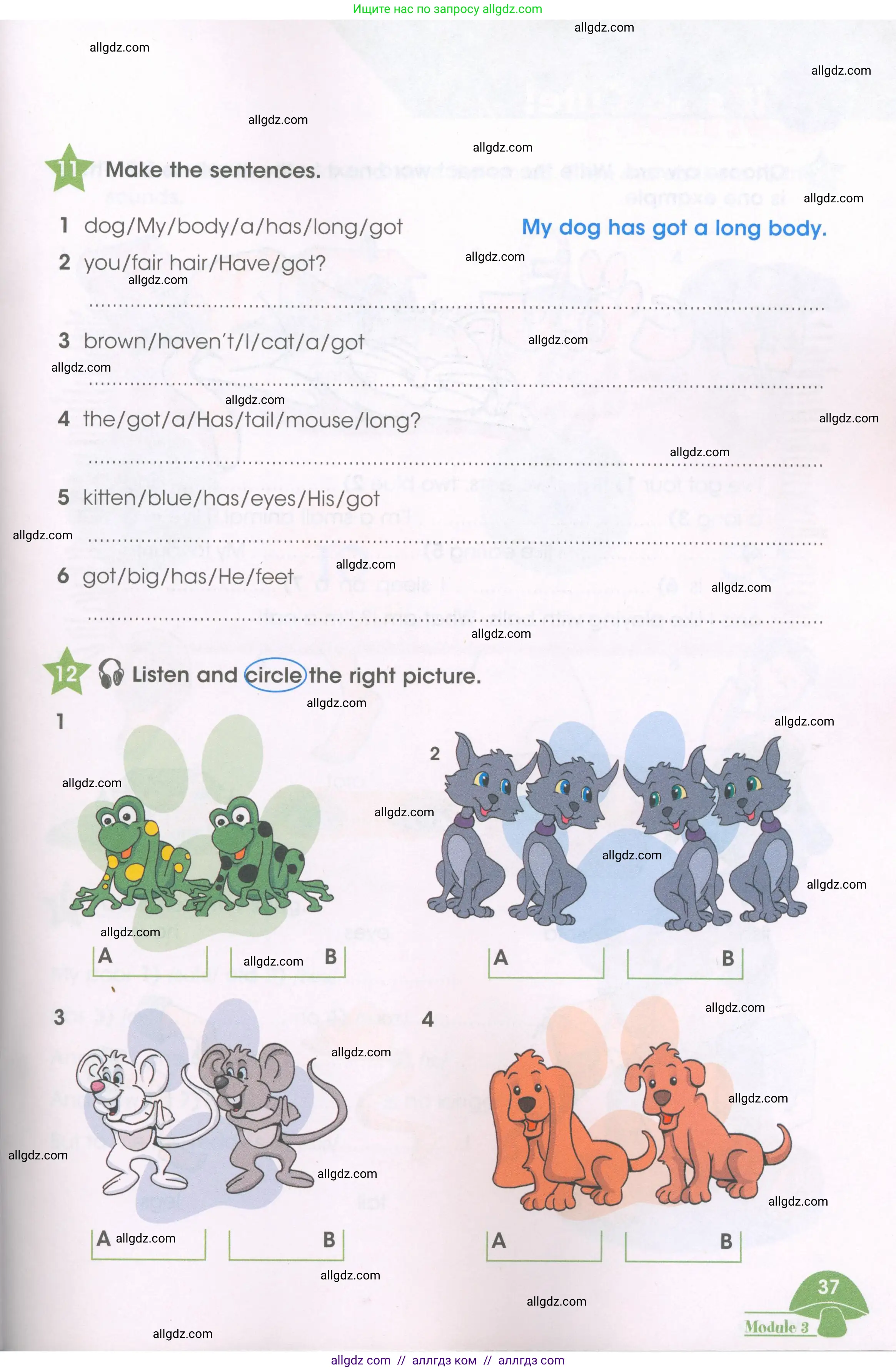 Английский язык (english), 3 класс Рабочая тетрадь (workbook), авторы: Баранова Ксения Михайловна (Baranova Ksenia), Дули Дженни (Dooley Jenny), Копылова Виктория Викторовна (Kopylova Victoria), Мильруд Радислав Петрович (Millrood Radislav), Эванс Вирджиния (Evans Virginia), издательство Просвещение, Москва, 2023, белого цвета, Часть ( Part) 1, страница 37