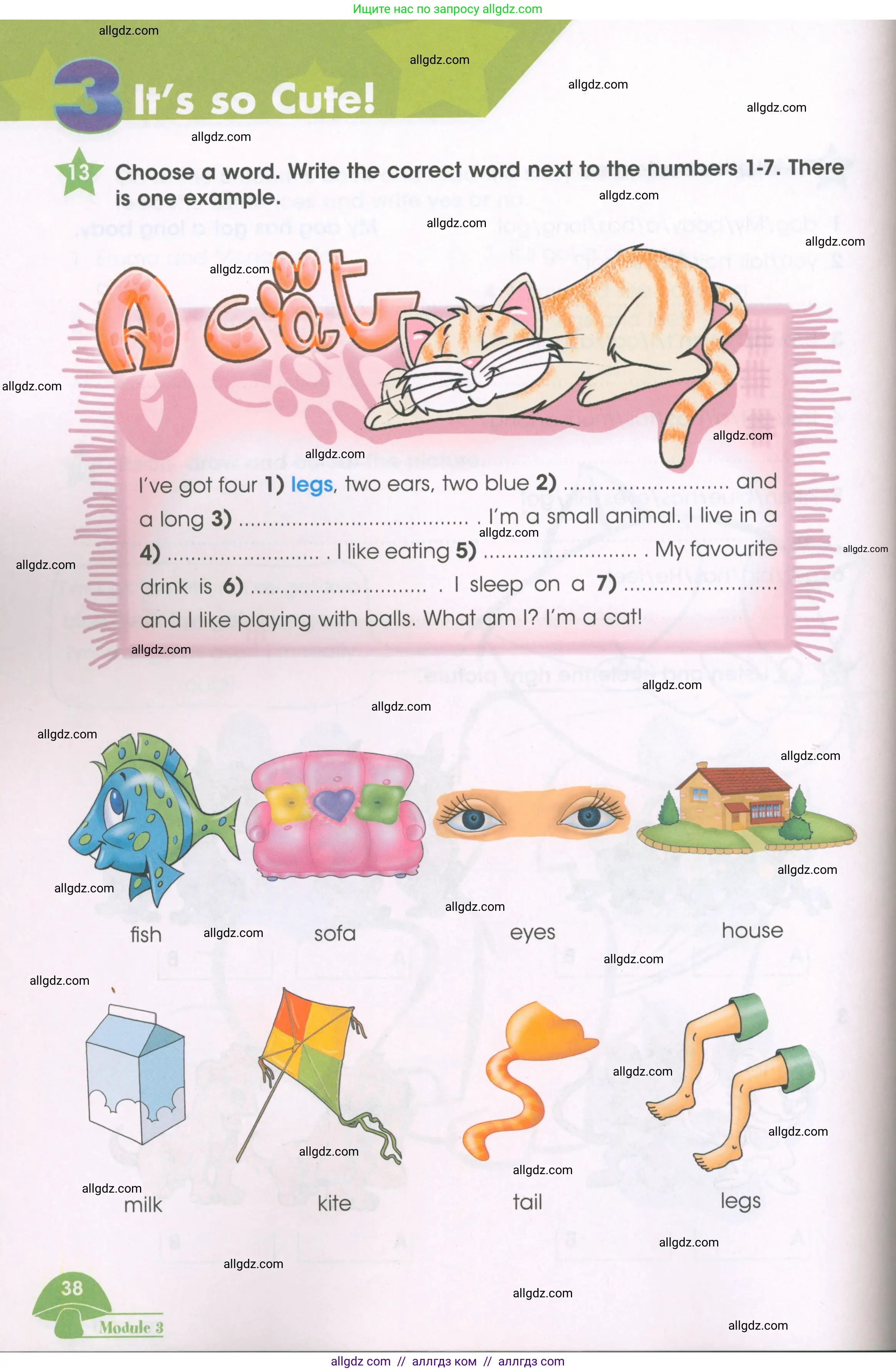 Английский язык (english), 3 класс Рабочая тетрадь (workbook), авторы: Баранова Ксения Михайловна (Baranova Ksenia), Дули Дженни (Dooley Jenny), Копылова Виктория Викторовна (Kopylova Victoria), Мильруд Радислав Петрович (Millrood Radislav), Эванс Вирджиния (Evans Virginia), издательство Просвещение, Москва, 2023, белого цвета, Часть ( Part) 1, страница 38