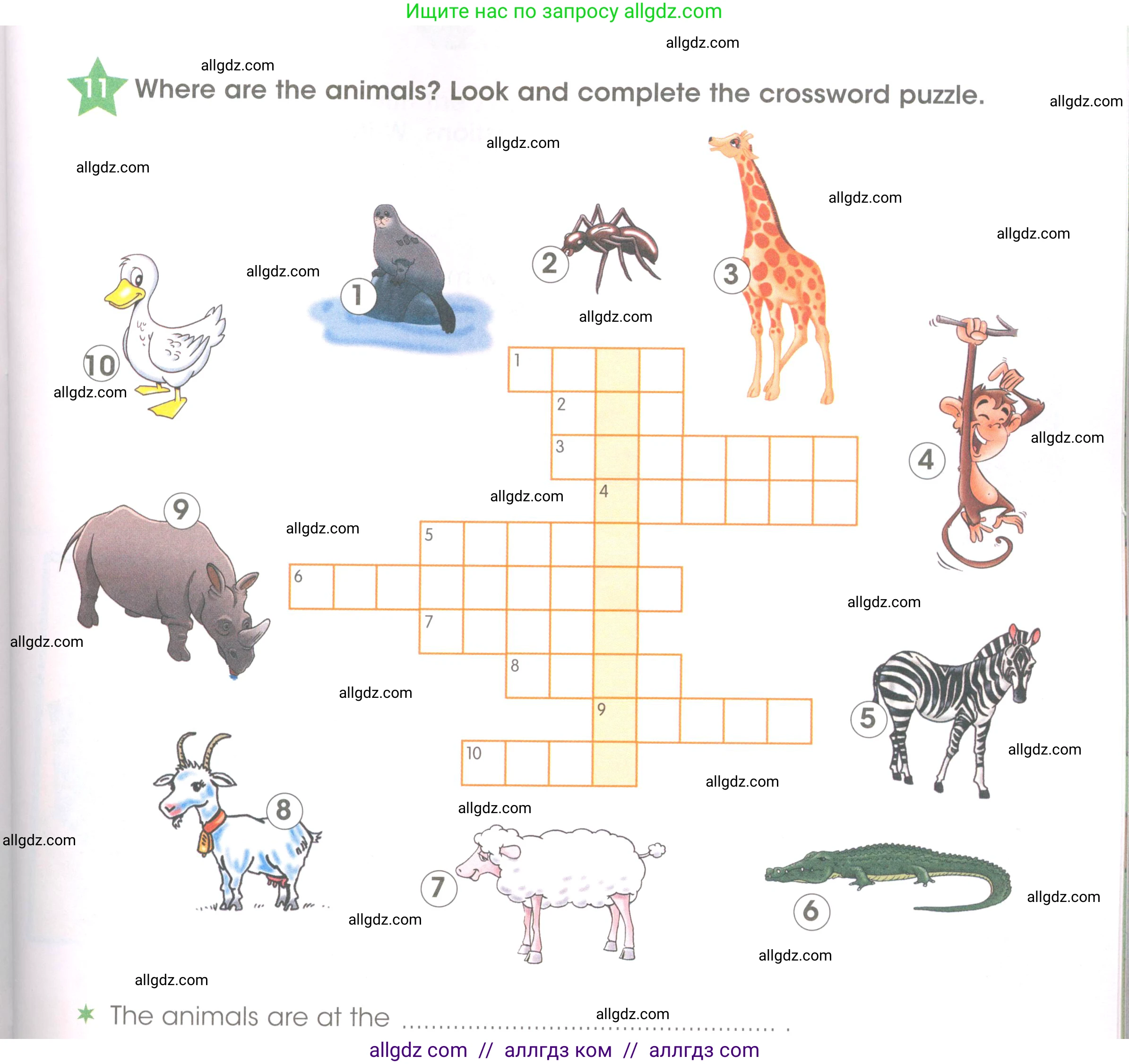 Английский язык (english), 3 класс Рабочая тетрадь (workbook), авторы: Баранова Ксения Михайловна (Baranova Ksenia), Дули Дженни (Dooley Jenny), Копылова Виктория Викторовна (Kopylova Victoria), Мильруд Радислав Петрович (Millrood Radislav), Эванс Вирджиния (Evans Virginia), издательство Просвещение, Москва, 2023, белого цвета, Часть ( Part) 2, страница 33, номер 11, Условие