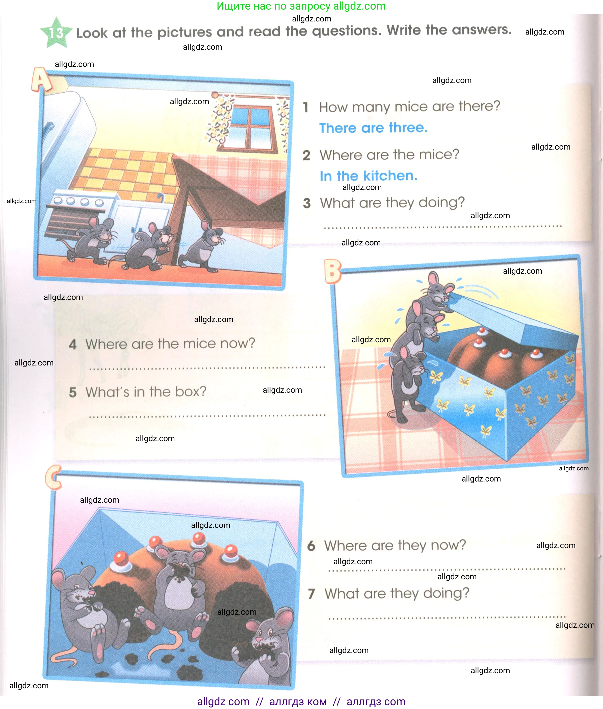 Английский язык (english), 3 класс Рабочая тетрадь (workbook), авторы: Баранова Ксения Михайловна (Baranova Ksenia), Дули Дженни (Dooley Jenny), Копылова Виктория Викторовна (Kopylova Victoria), Мильруд Радислав Петрович (Millrood Radislav), Эванс Вирджиния (Evans Virginia), издательство Просвещение, Москва, 2023, белого цвета, Часть ( Part) 2, страница 34, номер 13, Условие