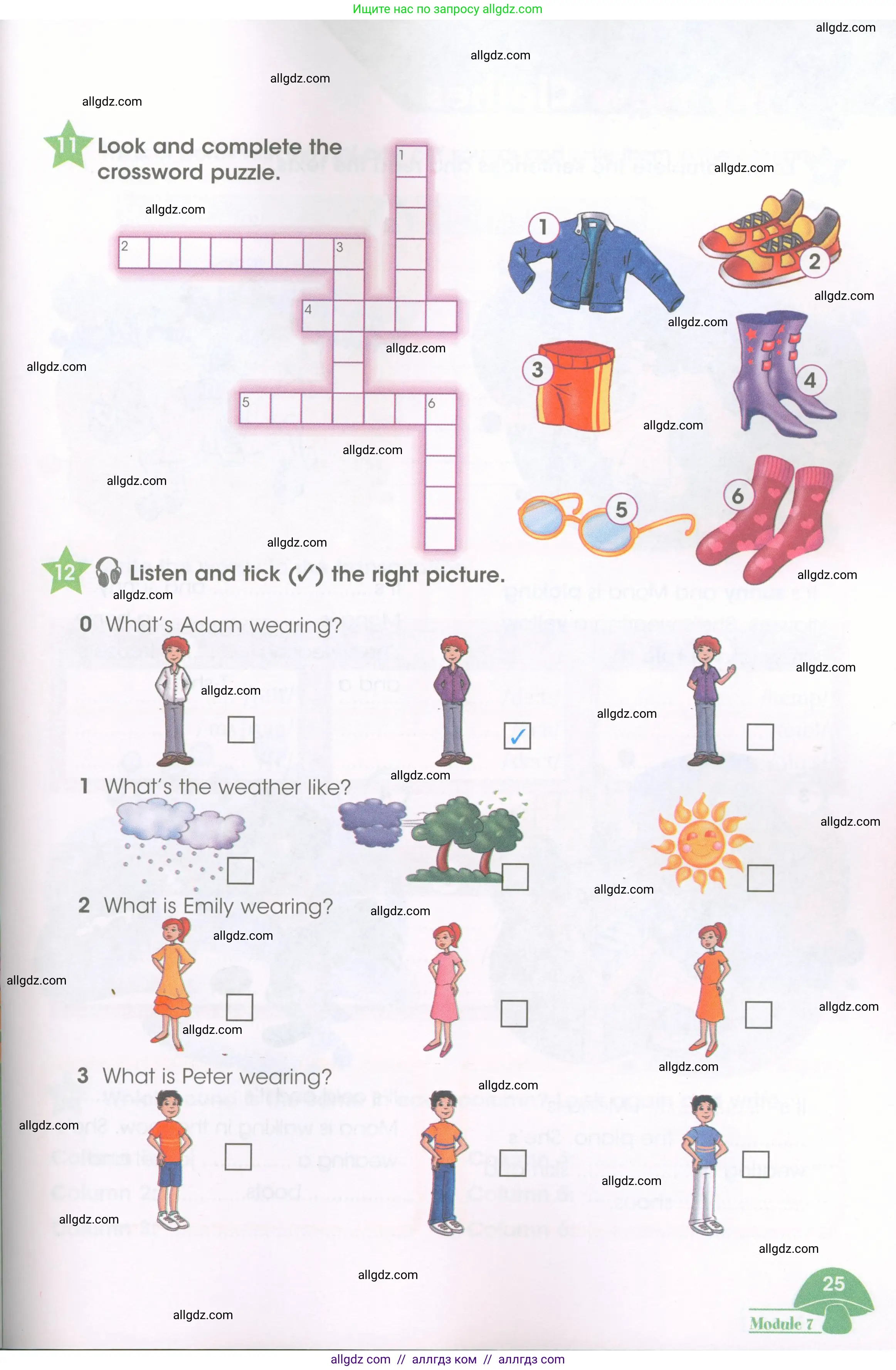 Английский язык (english), 3 класс Рабочая тетрадь (workbook), авторы: Баранова Ксения Михайловна (Baranova Ksenia), Дули Дженни (Dooley Jenny), Копылова Виктория Викторовна (Kopylova Victoria), Мильруд Радислав Петрович (Millrood Radislav), Эванс Вирджиния (Evans Virginia), издательство Просвещение, Москва, 2023, белого цвета, Часть ( Part) 2, страница 25