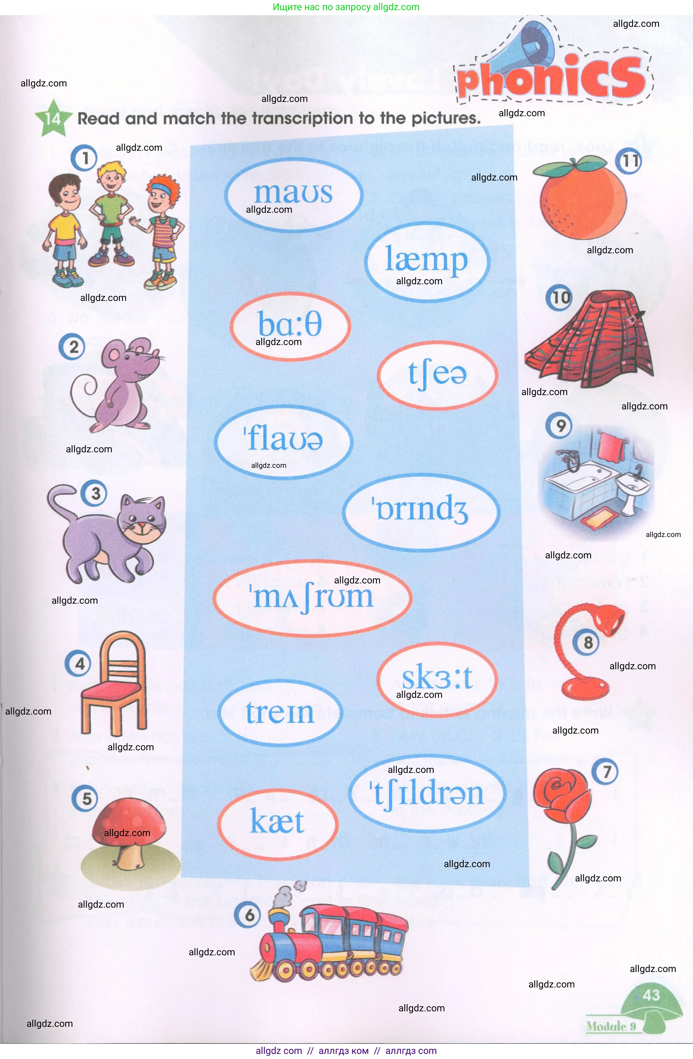 Английский язык (english), 3 класс Рабочая тетрадь (workbook), авторы: Баранова Ксения Михайловна (Baranova Ksenia), Дули Дженни (Dooley Jenny), Копылова Виктория Викторовна (Kopylova Victoria), Мильруд Радислав Петрович (Millrood Radislav), Эванс Вирджиния (Evans Virginia), издательство Просвещение, Москва, 2023, белого цвета, Часть ( Part) 2, страница 43