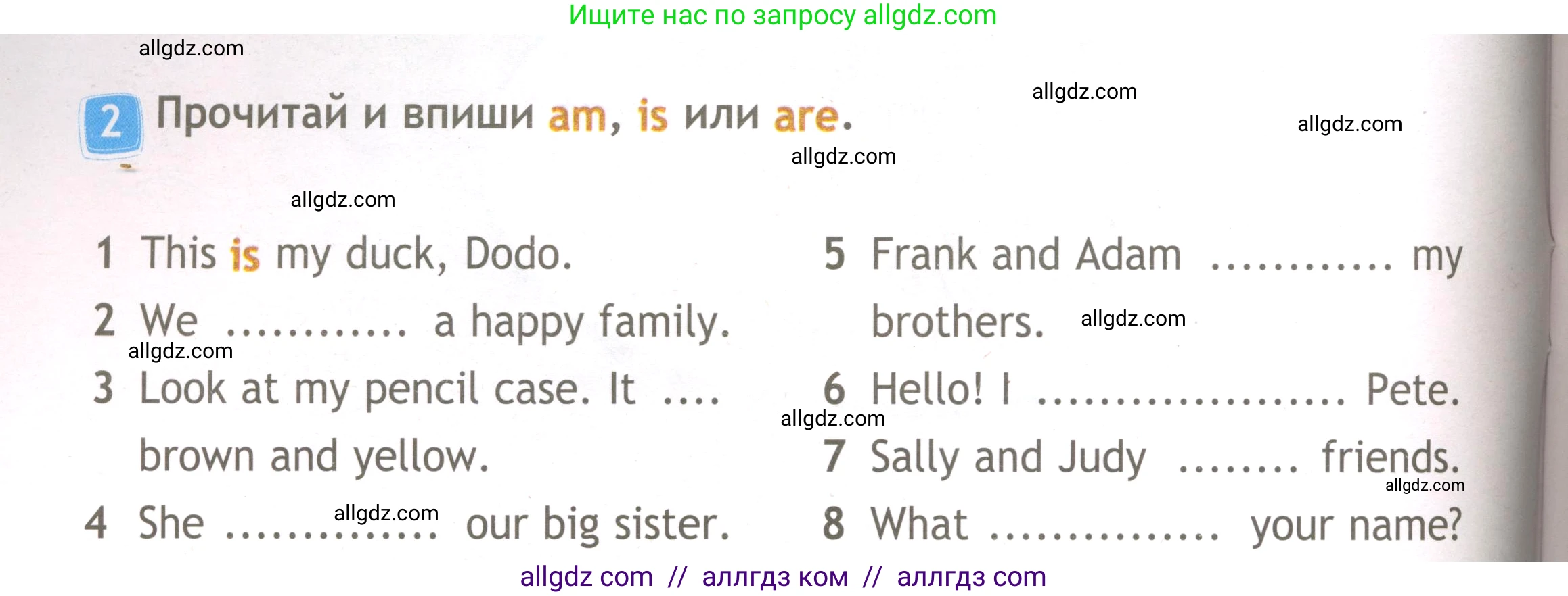 Английский язык (english), 3 класс Рабочая тетрадь (workbook), авторы: Быкова Надежда Ильинична (Bykova Nadezhda), Дули Дженни (Dooley Jenny), Поспелова Марина Давидовна (Pospelova Marina), Эванс Вирджиния (Evans Virginia), издательство Просвещение, Москва, 2023, зелёного цвета, страница 16, номер 2, Условие