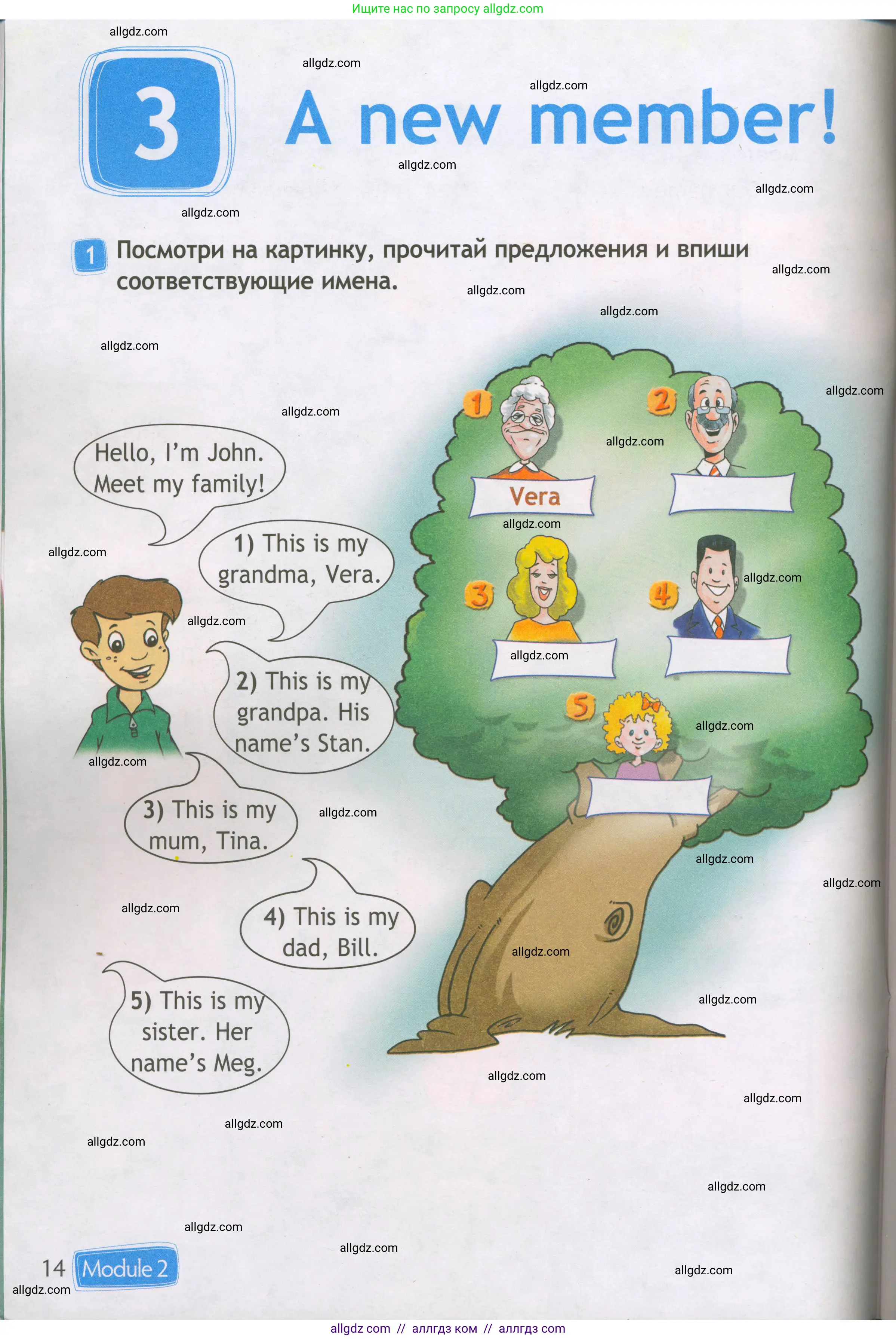 Английский язык (english), 3 класс Рабочая тетрадь (workbook), авторы: Быкова Надежда Ильинична (Bykova Nadezhda), Дули Дженни (Dooley Jenny), Поспелова Марина Давидовна (Pospelova Marina), Эванс Вирджиния (Evans Virginia), издательство Просвещение, Москва, 2023, зелёного цвета, страница 14