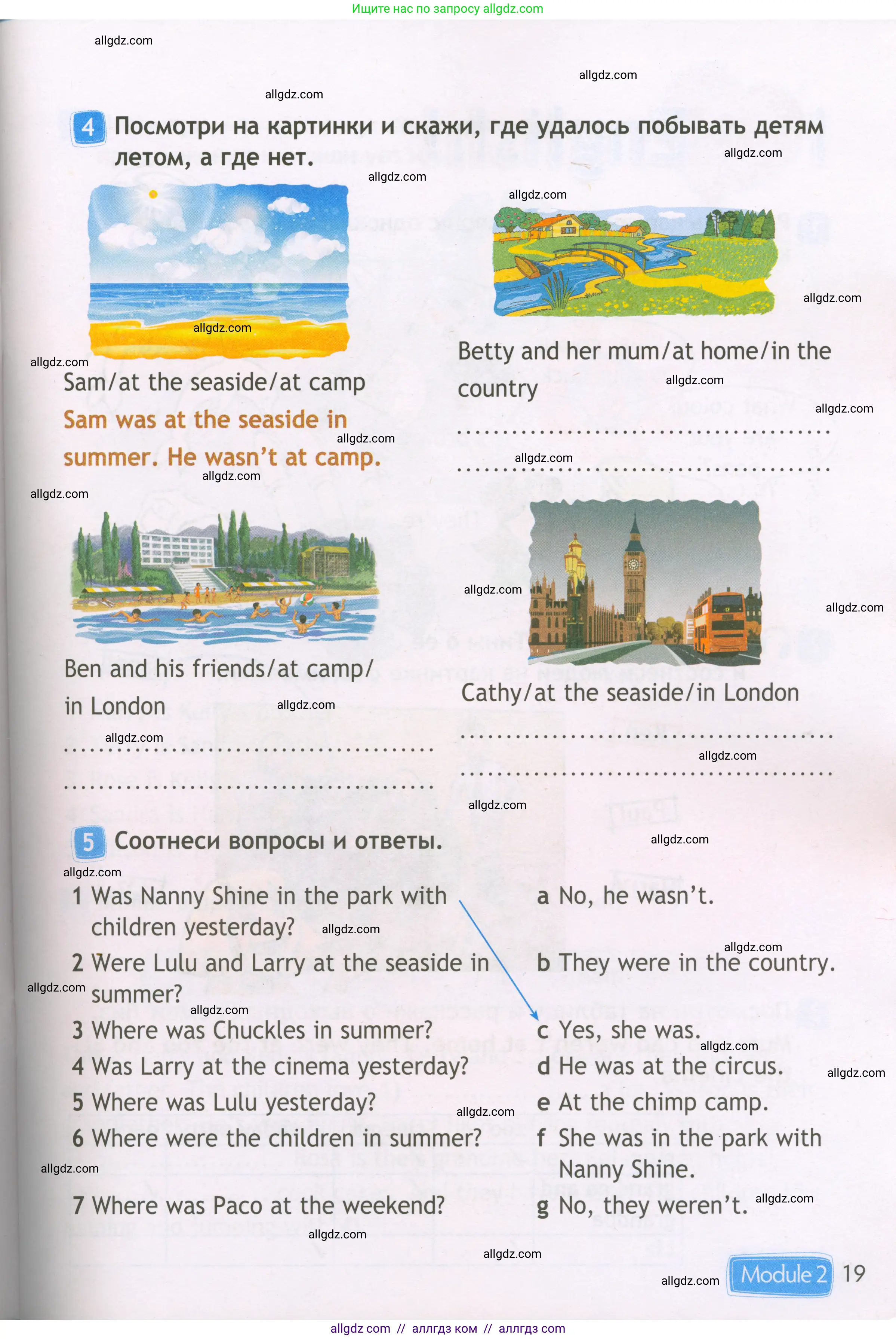 Английский язык (english), 3 класс Рабочая тетрадь (workbook), авторы: Быкова Надежда Ильинична (Bykova Nadezhda), Дули Дженни (Dooley Jenny), Поспелова Марина Давидовна (Pospelova Marina), Эванс Вирджиния (Evans Virginia), издательство Просвещение, Москва, 2023, зелёного цвета, страница 19