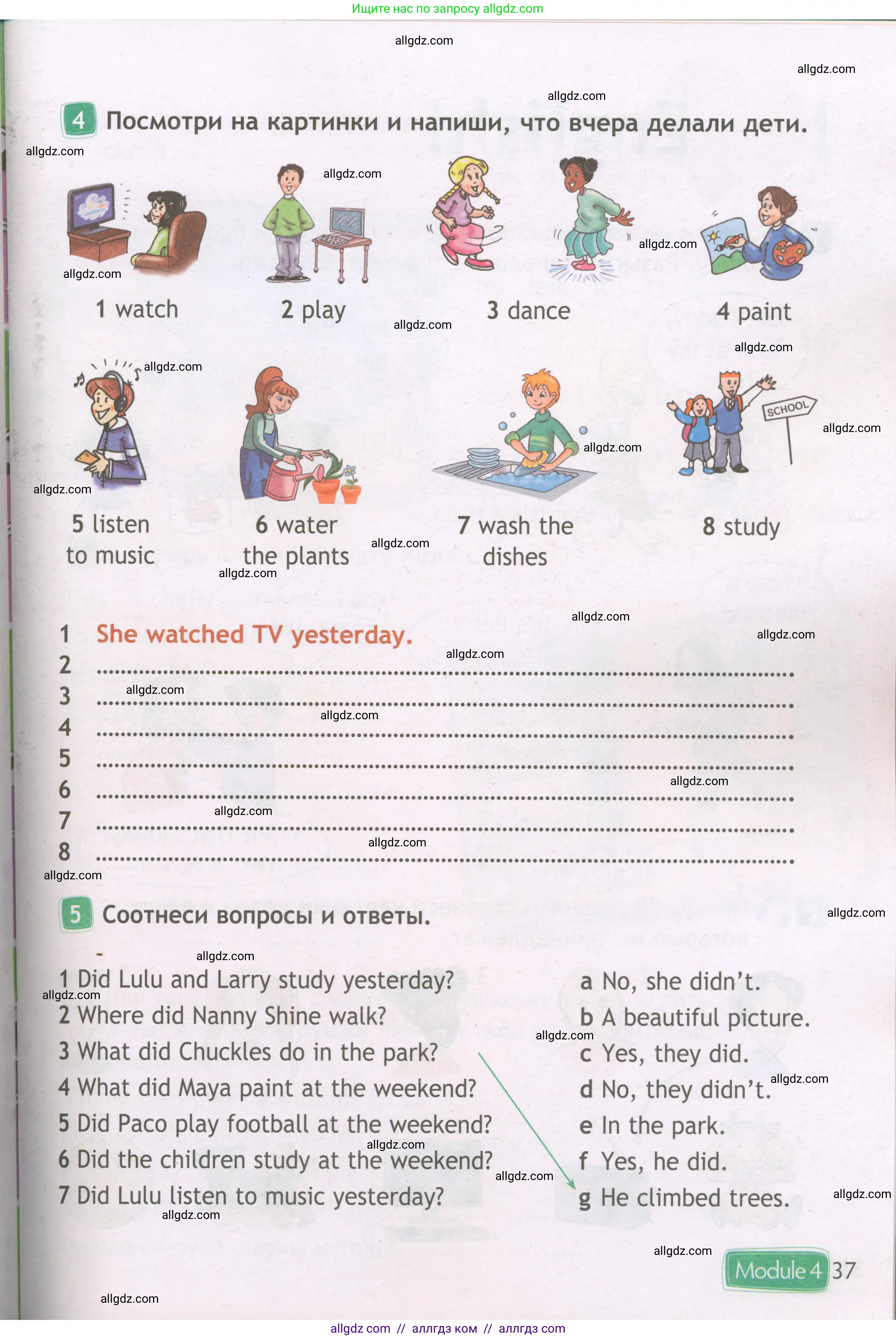 Английский язык (english), 3 класс Рабочая тетрадь (workbook), авторы: Быкова Надежда Ильинична (Bykova Nadezhda), Дули Дженни (Dooley Jenny), Поспелова Марина Давидовна (Pospelova Marina), Эванс Вирджиния (Evans Virginia), издательство Просвещение, Москва, 2023, зелёного цвета, страница 37