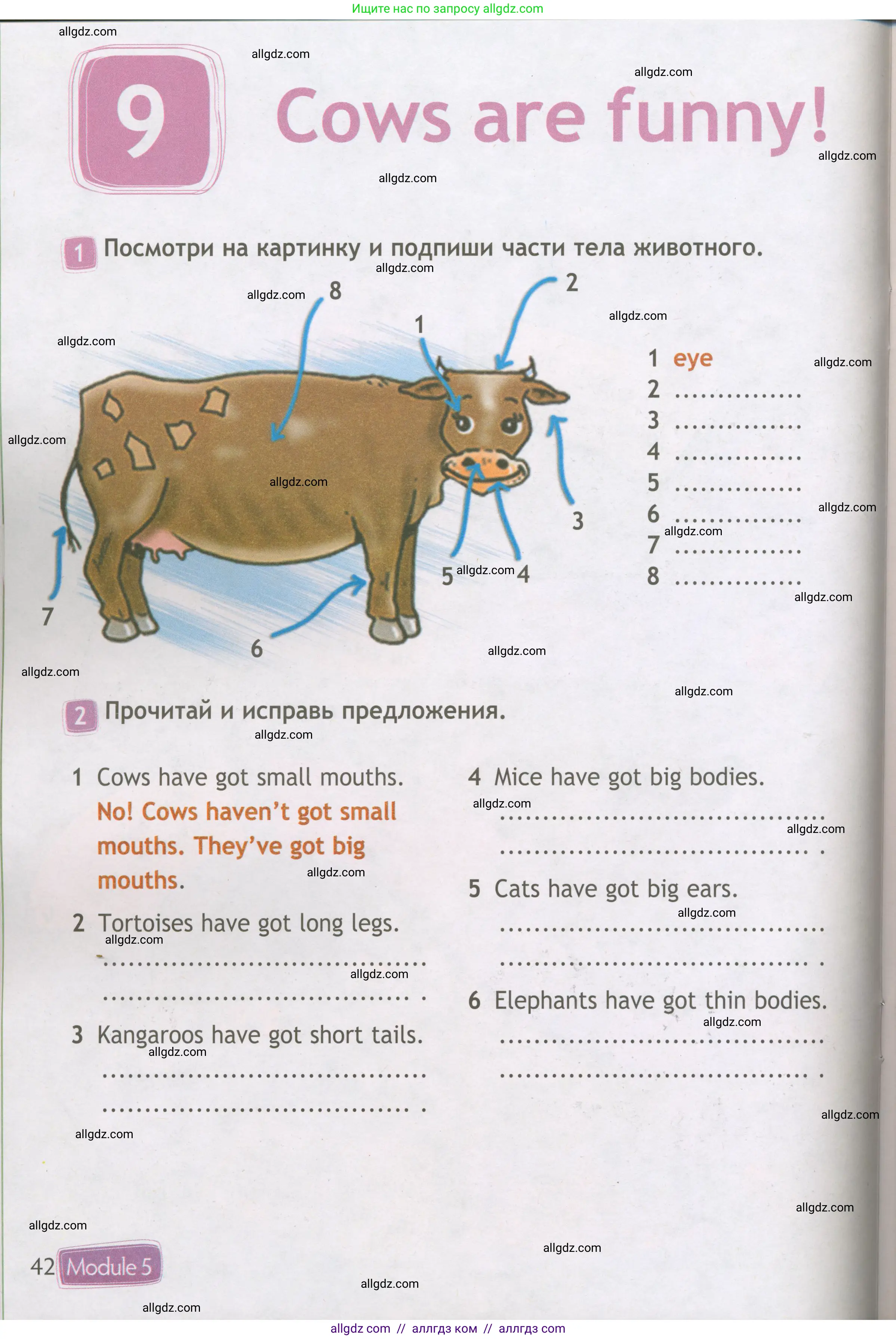 Английский язык (english), 3 класс Рабочая тетрадь (workbook), авторы: Быкова Надежда Ильинична (Bykova Nadezhda), Дули Дженни (Dooley Jenny), Поспелова Марина Давидовна (Pospelova Marina), Эванс Вирджиния (Evans Virginia), издательство Просвещение, Москва, 2023, зелёного цвета, страница 42