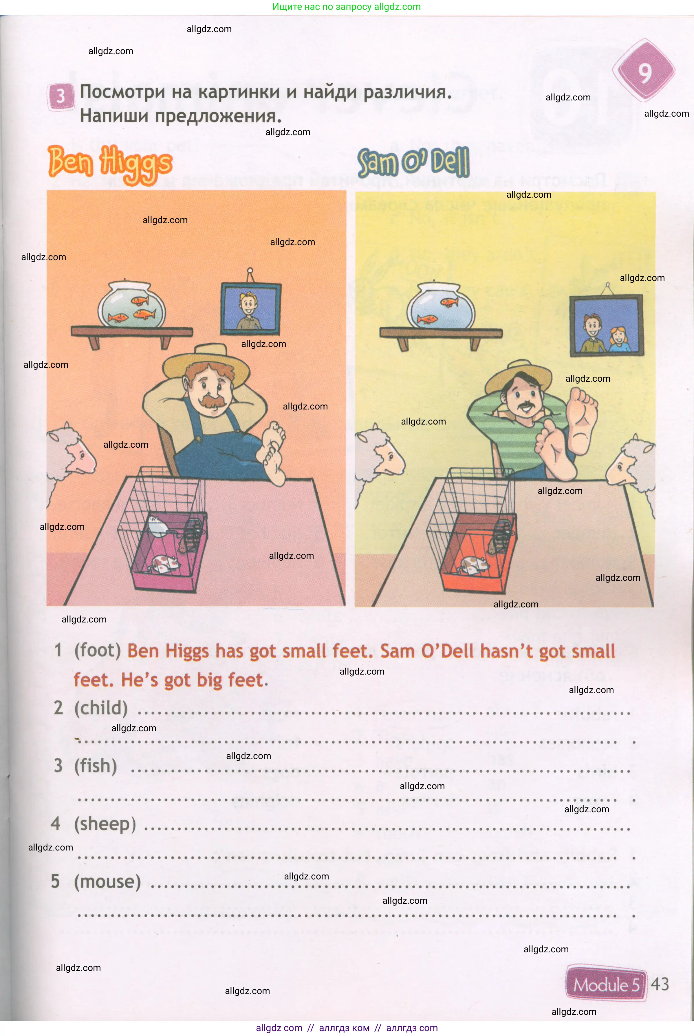 Английский язык (english), 3 класс Рабочая тетрадь (workbook), авторы: Быкова Надежда Ильинична (Bykova Nadezhda), Дули Дженни (Dooley Jenny), Поспелова Марина Давидовна (Pospelova Marina), Эванс Вирджиния (Evans Virginia), издательство Просвещение, Москва, 2023, зелёного цвета, страница 43