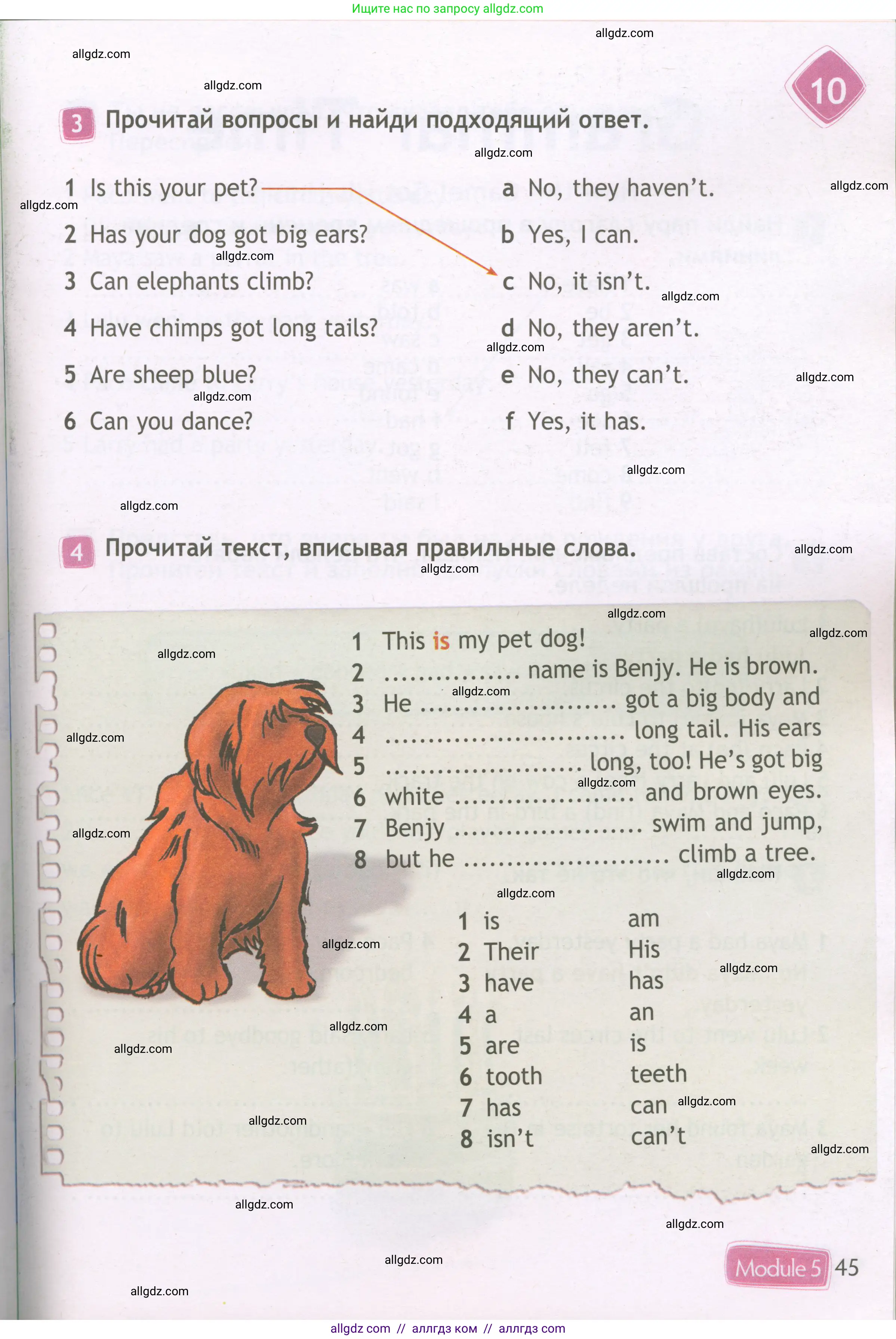 Английский язык (english), 3 класс Рабочая тетрадь (workbook), авторы: Быкова Надежда Ильинична (Bykova Nadezhda), Дули Дженни (Dooley Jenny), Поспелова Марина Давидовна (Pospelova Marina), Эванс Вирджиния (Evans Virginia), издательство Просвещение, Москва, 2023, зелёного цвета, страница 45