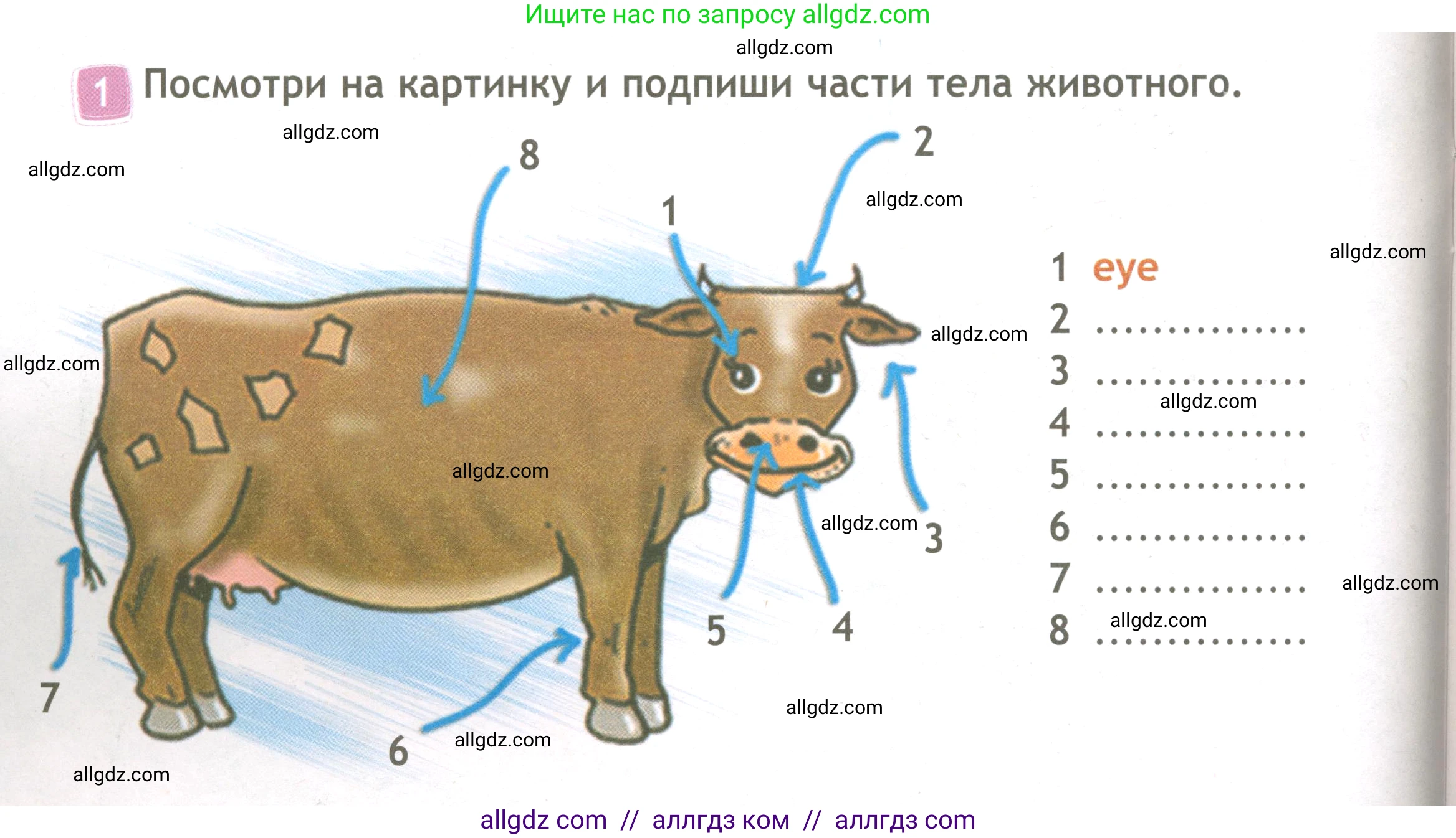 Английский язык (english), 3 класс Рабочая тетрадь (workbook), авторы: Быкова Надежда Ильинична (Bykova Nadezhda), Дули Дженни (Dooley Jenny), Поспелова Марина Давидовна (Pospelova Marina), Эванс Вирджиния (Evans Virginia), издательство Просвещение, Москва, 2023, зелёного цвета, страница 42, номер 1, Условие