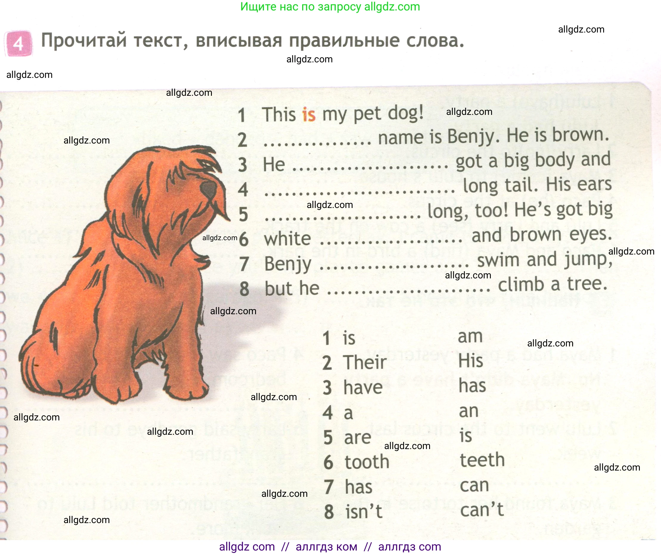 Английский язык (english), 3 класс Рабочая тетрадь (workbook), авторы: Быкова Надежда Ильинична (Bykova Nadezhda), Дули Дженни (Dooley Jenny), Поспелова Марина Давидовна (Pospelova Marina), Эванс Вирджиния (Evans Virginia), издательство Просвещение, Москва, 2023, зелёного цвета, страница 45, номер 4, Условие
