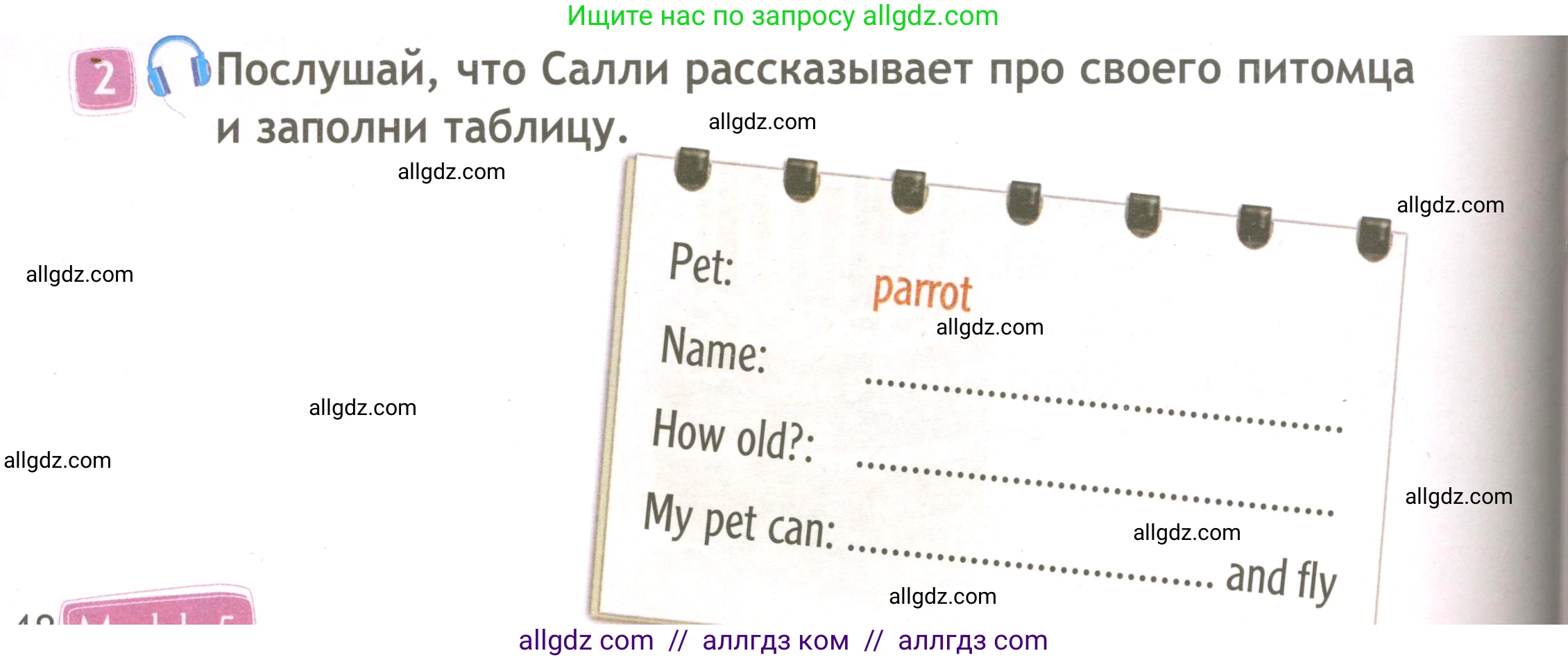 Английский язык (english), 3 класс Рабочая тетрадь (workbook), авторы: Быкова Надежда Ильинична (Bykova Nadezhda), Дули Дженни (Dooley Jenny), Поспелова Марина Давидовна (Pospelova Marina), Эванс Вирджиния (Evans Virginia), издательство Просвещение, Москва, 2023, зелёного цвета, страница 48, номер 2, Условие