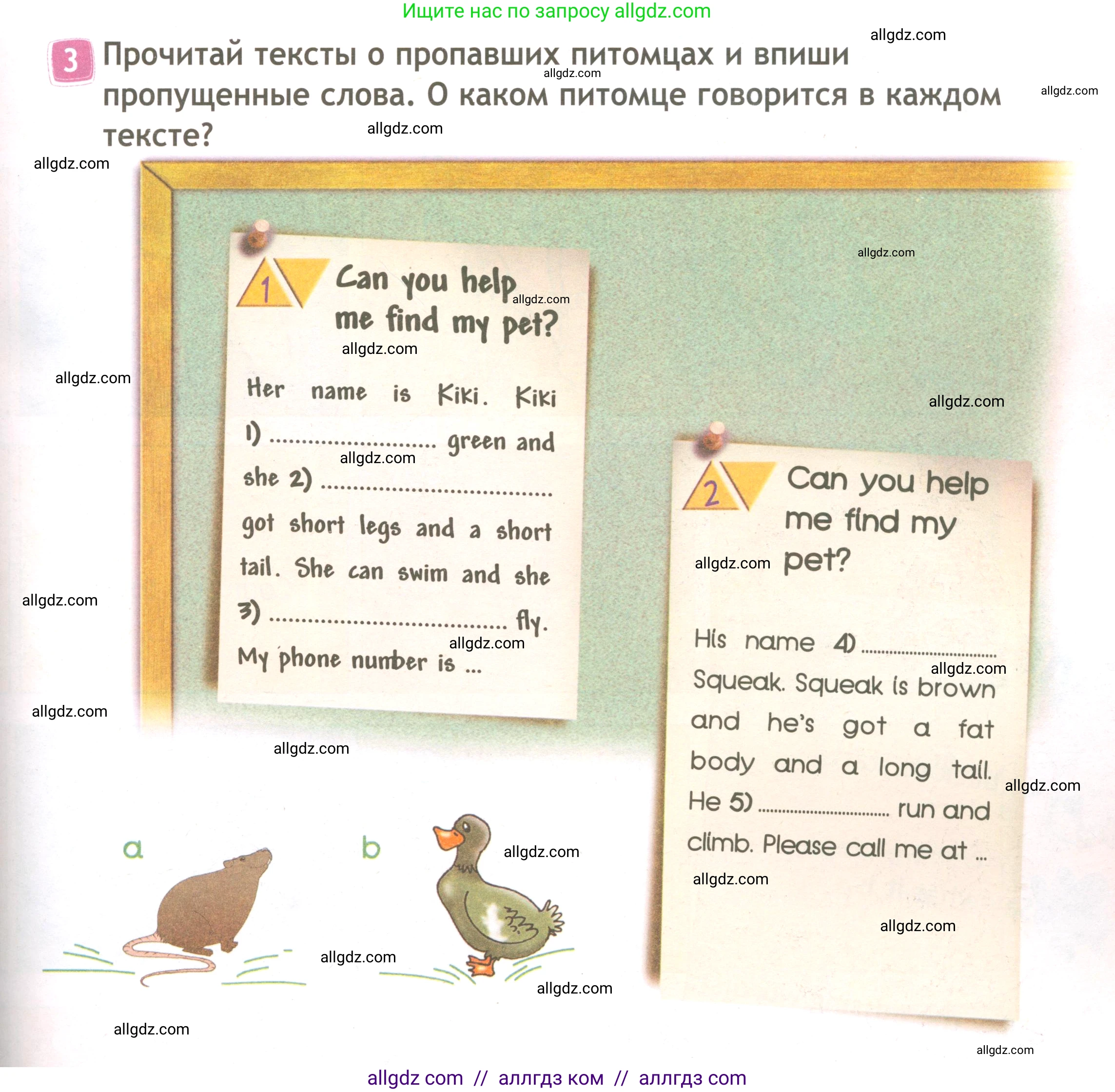 Английский язык (english), 3 класс Рабочая тетрадь (workbook), авторы: Быкова Надежда Ильинична (Bykova Nadezhda), Дули Дженни (Dooley Jenny), Поспелова Марина Давидовна (Pospelova Marina), Эванс Вирджиния (Evans Virginia), издательство Просвещение, Москва, 2023, зелёного цвета, страница 49, номер 3, Условие