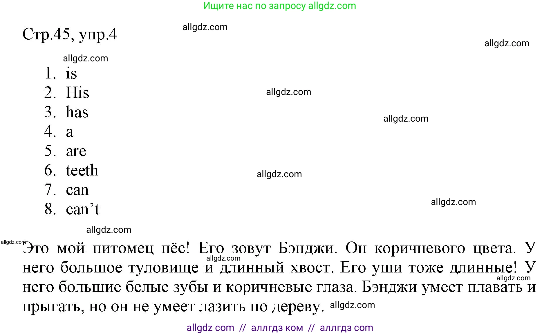 Английский язык (english), 3 класс Рабочая тетрадь (workbook), авторы: Быкова Надежда Ильинична (Bykova Nadezhda), Дули Дженни (Dooley Jenny), Поспелова Марина Давидовна (Pospelova Marina), Эванс Вирджиния (Evans Virginia), издательство Просвещение, Москва, 2023, зелёного цвета, страница 45, номер 4, Решение 1