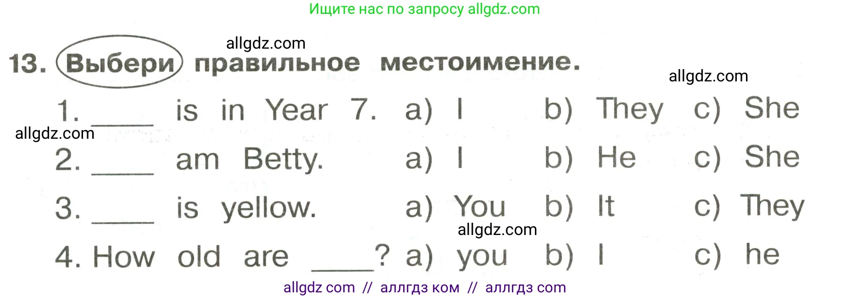 Английский язык (english), 3 класс Сборник упражнений, авторы: Быкова Надежда Ильинична (Bykova Nadezhda), Поспелова Марина Давидовна (Pospelova Marina), издательство Просвещение, Москва, 2023, зелёного цвета, страница 27, номер 13, Условие