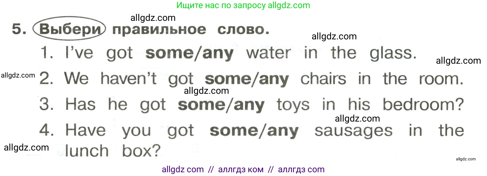 Английский язык (english), 3 класс Сборник упражнений, авторы: Быкова Надежда Ильинична (Bykova Nadezhda), Поспелова Марина Давидовна (Pospelova Marina), издательство Просвещение, Москва, 2023, зелёного цвета, страница 48, номер 5, Условие