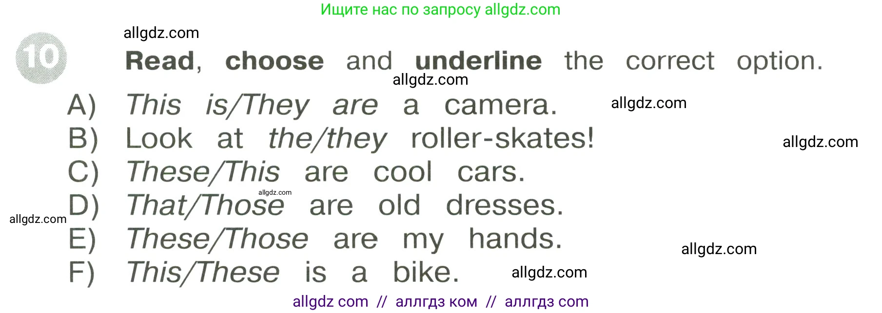 Английский язык (english), 3 класс Сборник упражнений, автор: Котова Марина Петровна, издательство Просвещение, Москва, 2024, белого цвета, страница 30, номер 10, Условие