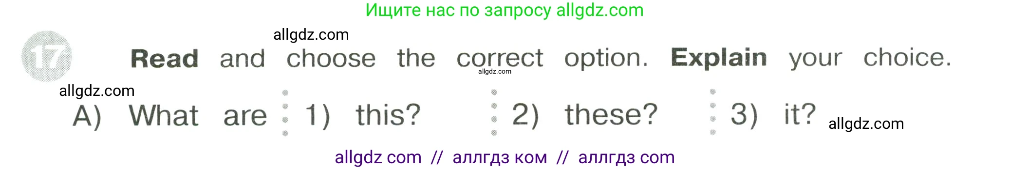 Английский язык (english), 3 класс Сборник упражнений, автор: Котова Марина Петровна, издательство Просвещение, Москва, 2024, белого цвета, страница 32, номер 17, Условие