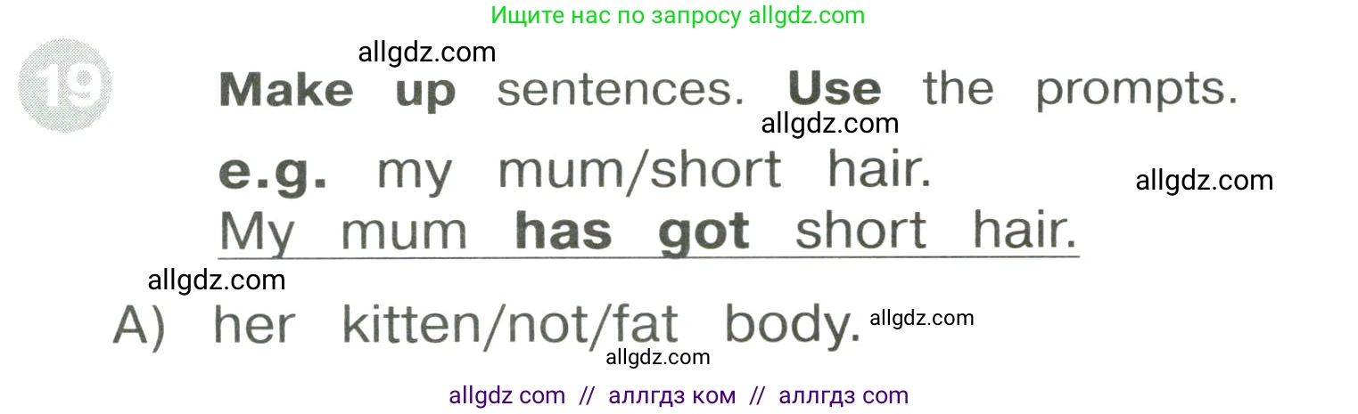 Английский язык (english), 3 класс Сборник упражнений, автор: Котова Марина Петровна, издательство Просвещение, Москва, 2024, белого цвета, страница 42, номер 19, Условие