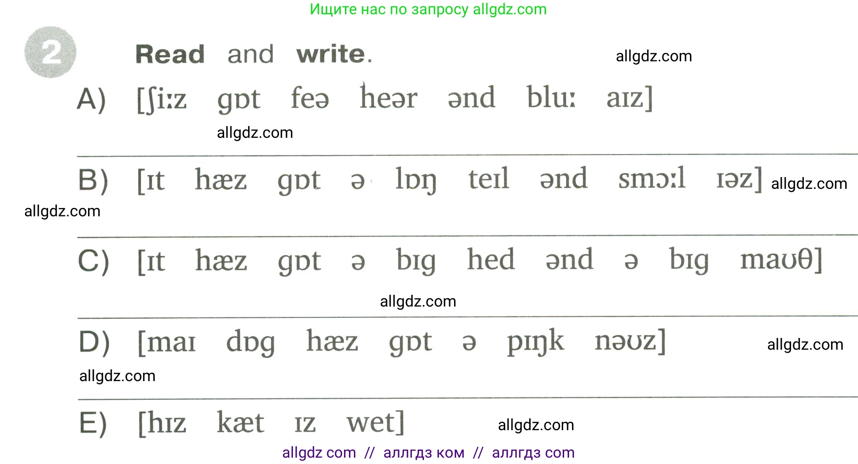 Английский язык (english), 3 класс Сборник упражнений, автор: Котова Марина Петровна, издательство Просвещение, Москва, 2024, белого цвета, страница 36, номер 2, Условие