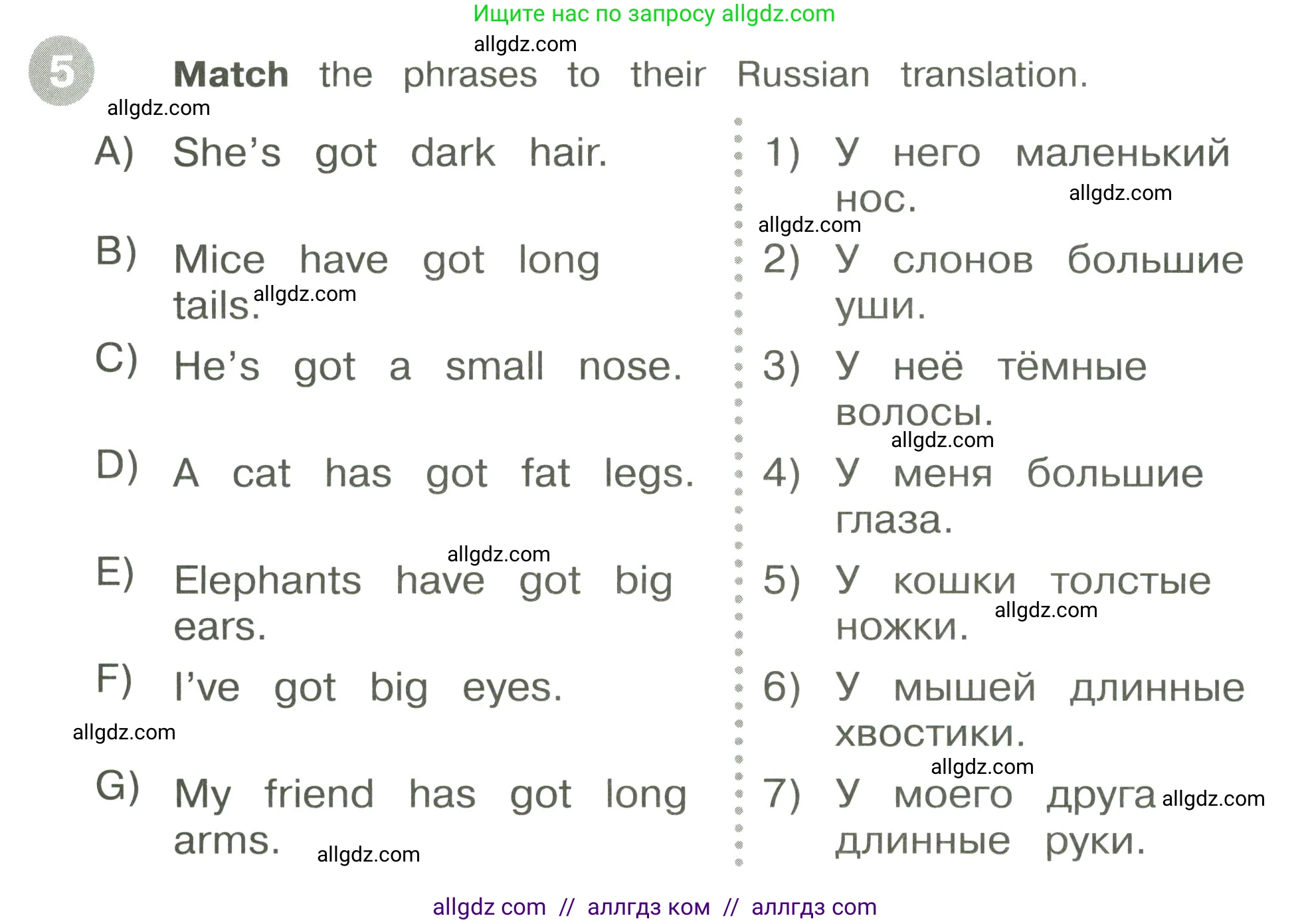 Английский язык (english), 3 класс Сборник упражнений, автор: Котова Марина Петровна, издательство Просвещение, Москва, 2024, белого цвета, страница 37, номер 5, Условие