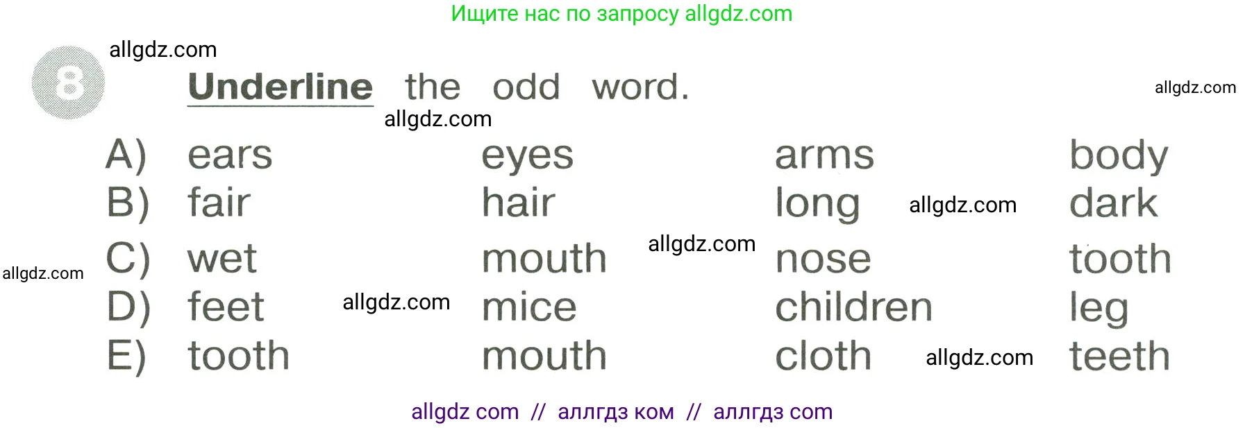 Английский язык (english), 3 класс Сборник упражнений, автор: Котова Марина Петровна, издательство Просвещение, Москва, 2024, белого цвета, страница 38, номер 8, Условие