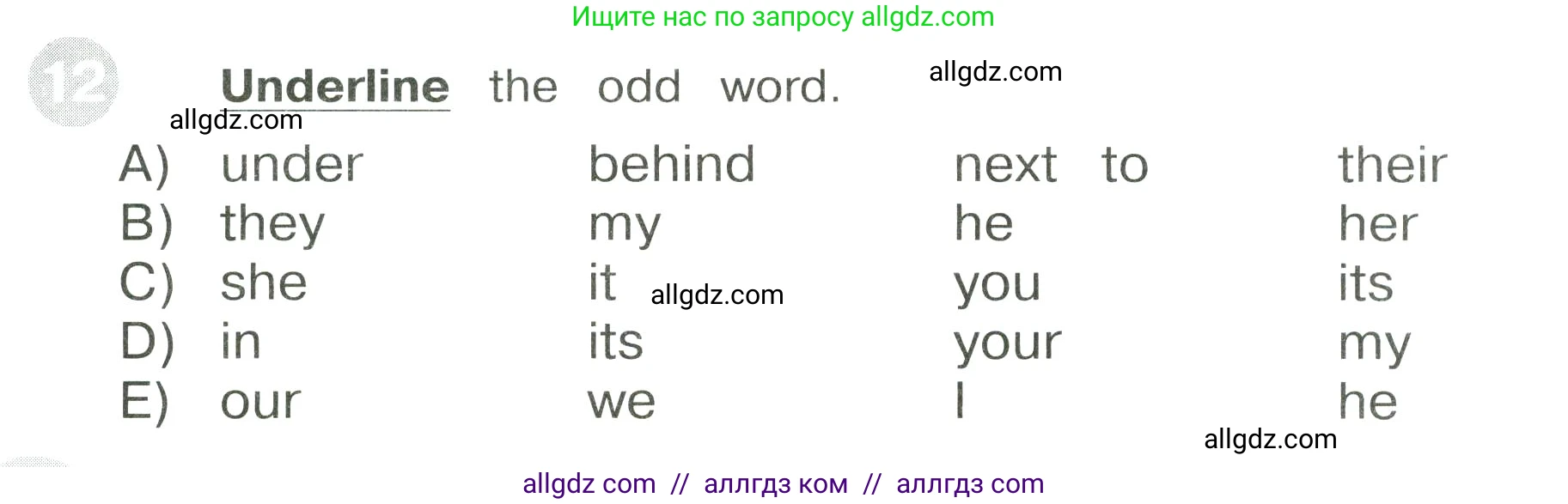 Английский язык (english), 3 класс Сборник упражнений, автор: Котова Марина Петровна, издательство Просвещение, Москва, 2024, белого цвета, страница 56, номер 12, Условие