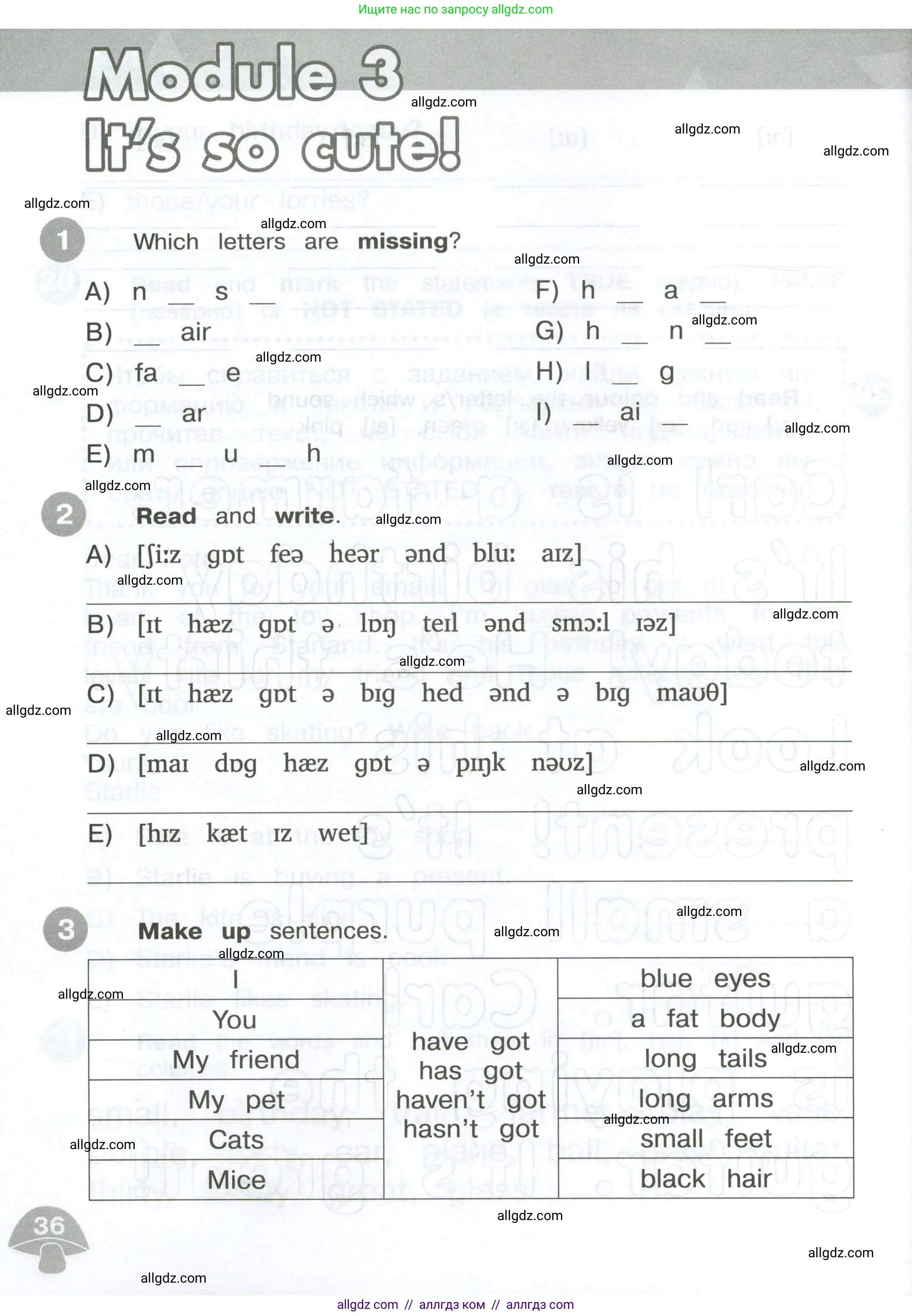 Английский язык (english), 3 класс Сборник упражнений, автор: Котова Марина Петровна, издательство Просвещение, Москва, 2024, белого цвета, страница 36