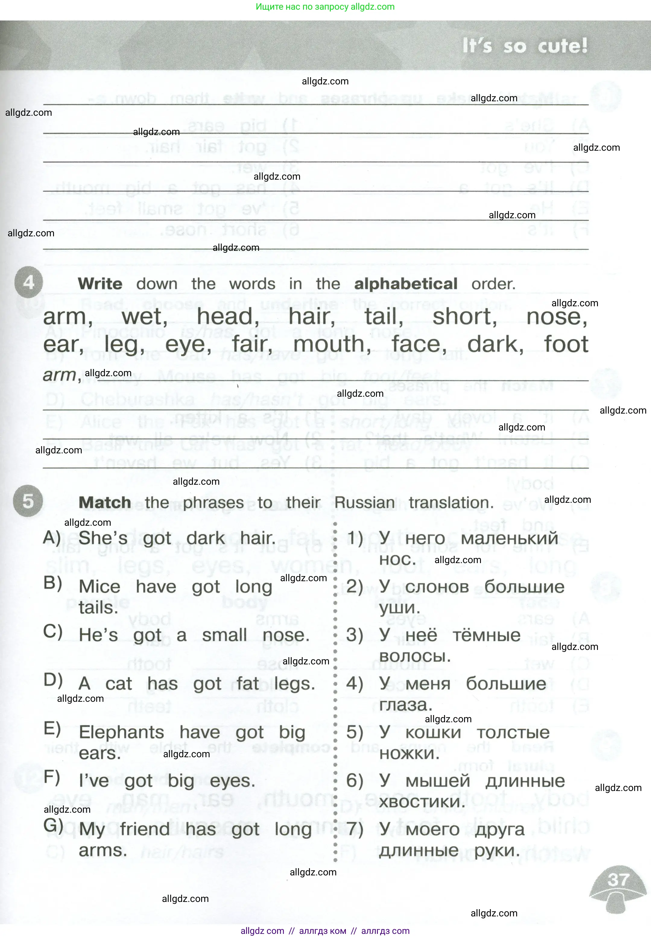 Английский язык (english), 3 класс Сборник упражнений, автор: Котова Марина Петровна, издательство Просвещение, Москва, 2024, белого цвета, страница 37