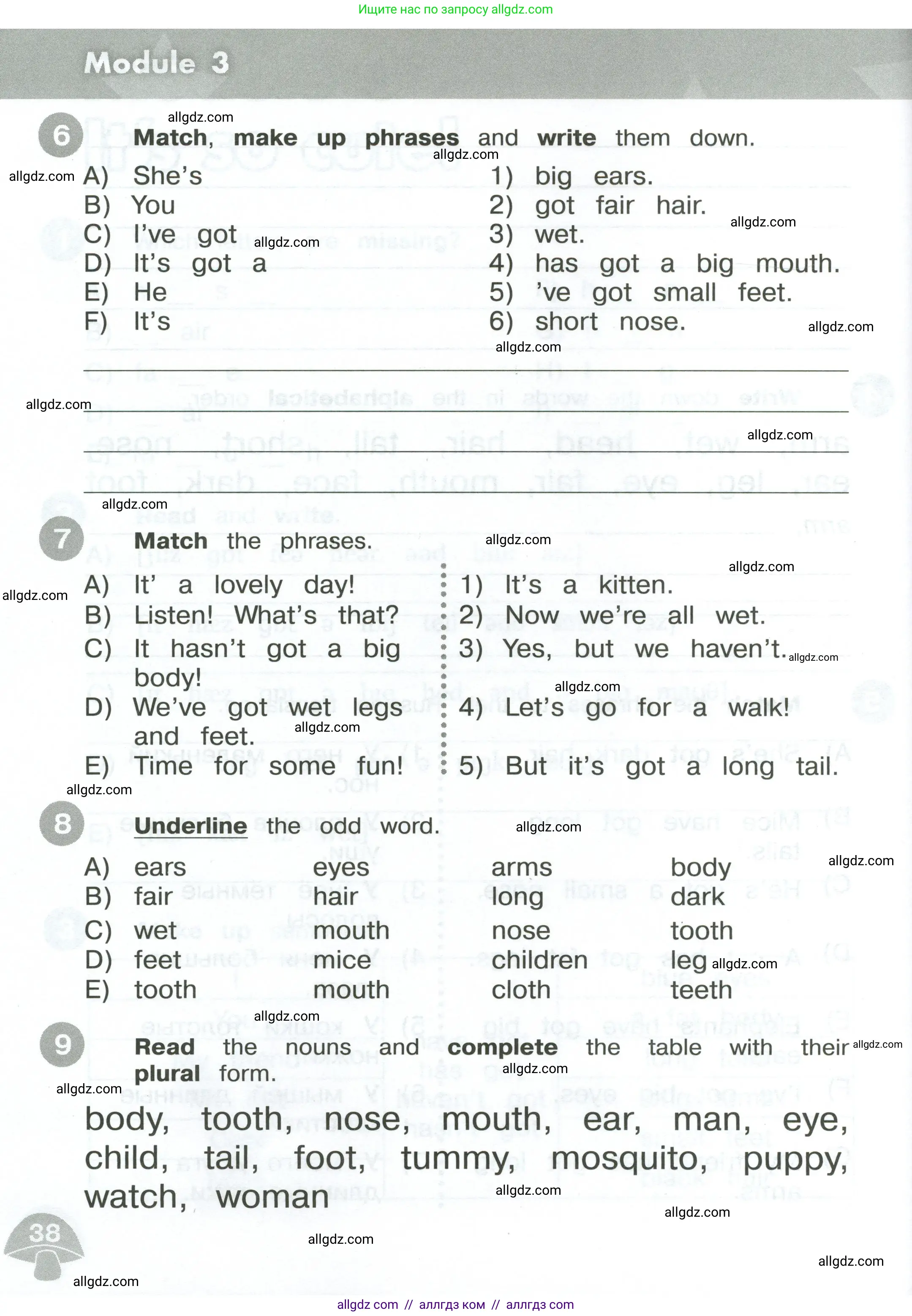 Английский язык (english), 3 класс Сборник упражнений, автор: Котова Марина Петровна, издательство Просвещение, Москва, 2024, белого цвета, страница 38