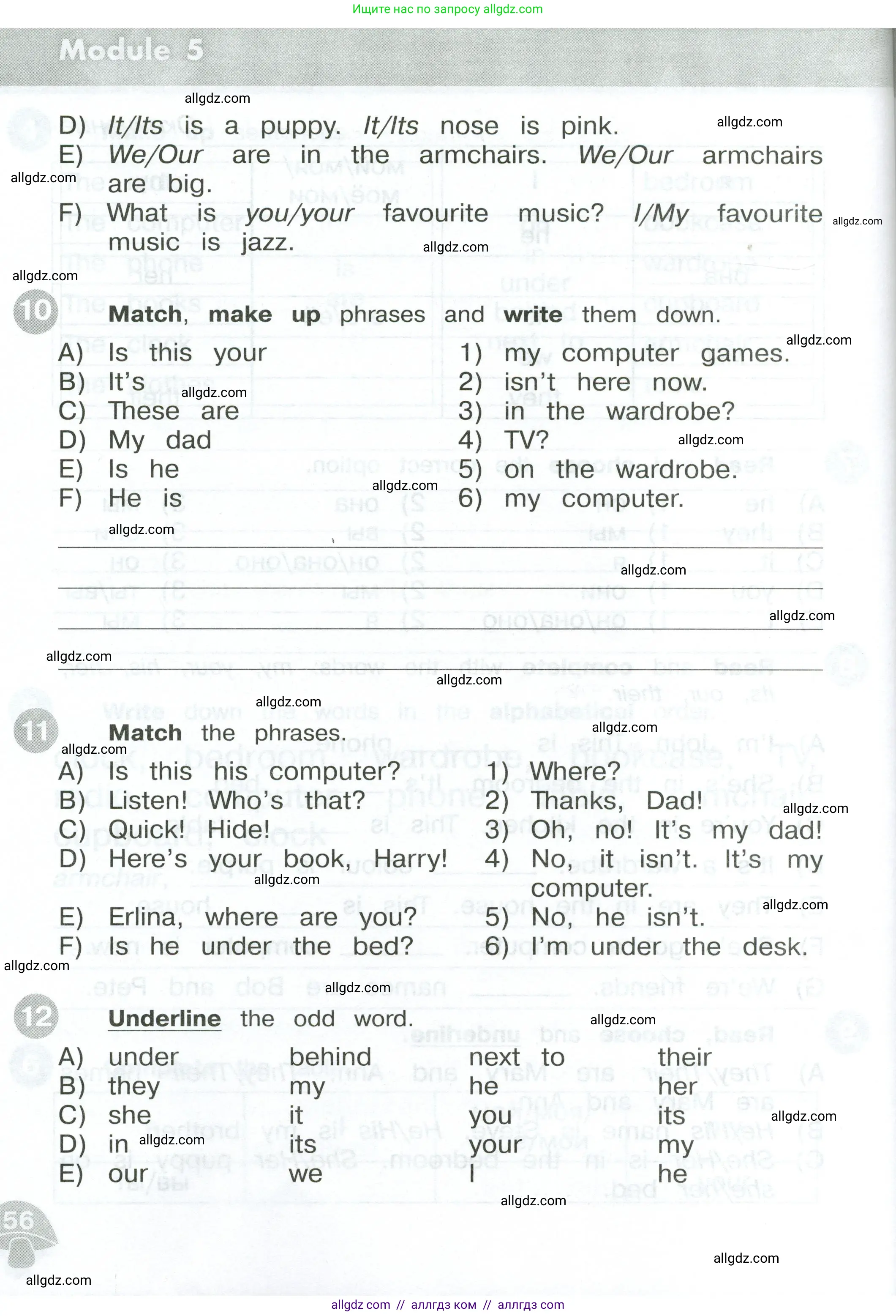 Английский язык (english), 3 класс Сборник упражнений, автор: Котова Марина Петровна, издательство Просвещение, Москва, 2024, белого цвета, страница 56