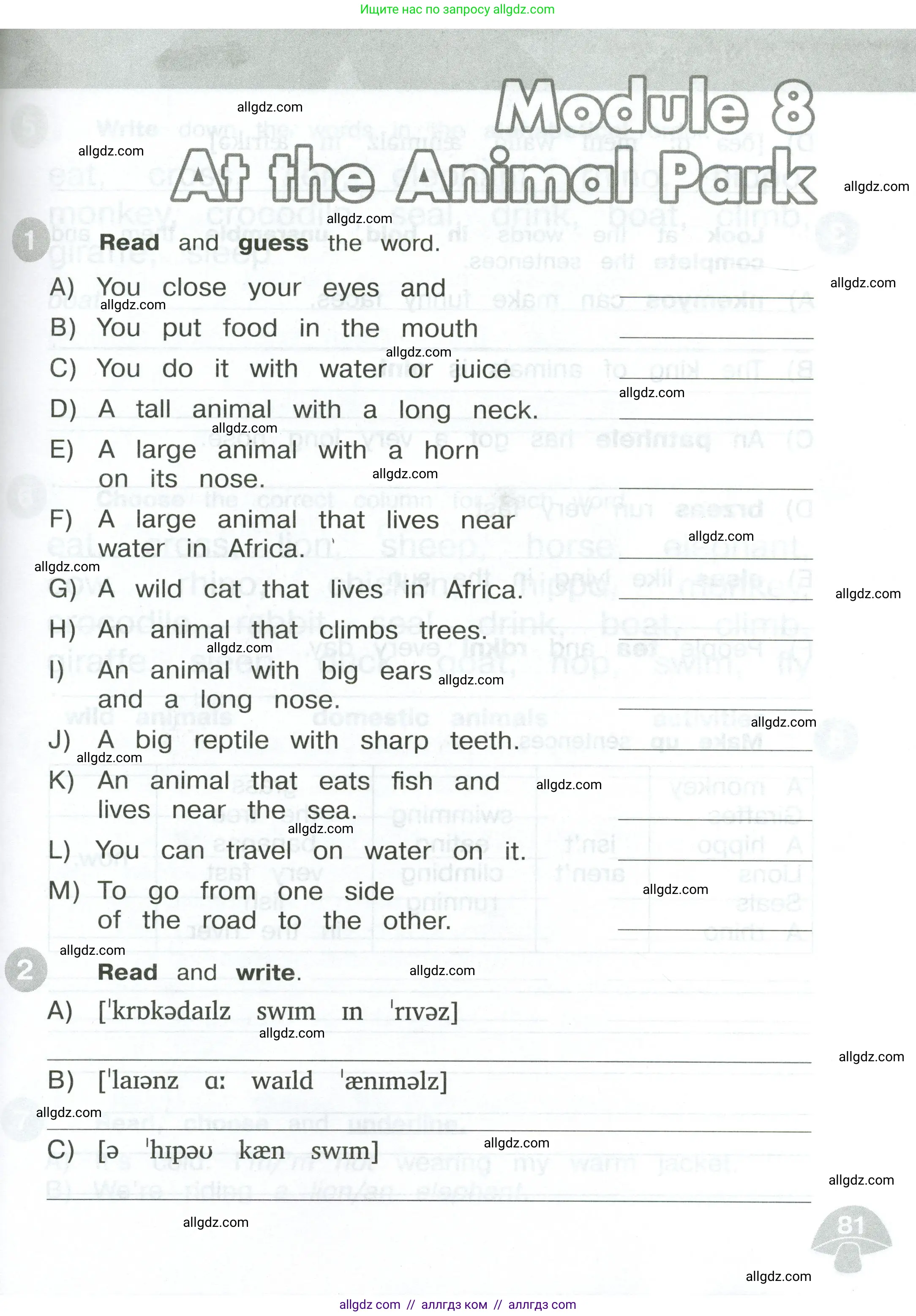 Английский язык (english), 3 класс Сборник упражнений, автор: Котова Марина Петровна, издательство Просвещение, Москва, 2024, белого цвета, страница 81