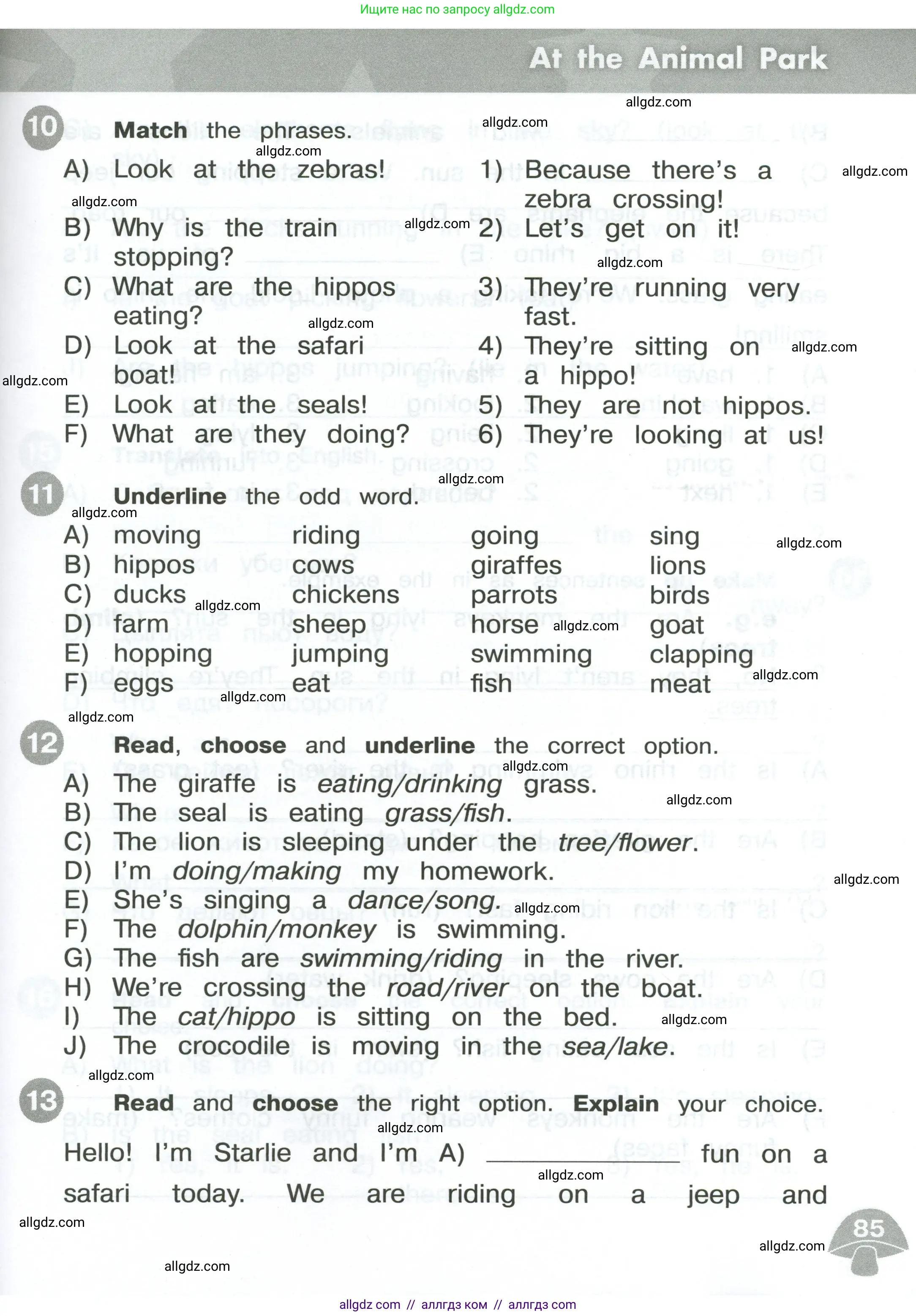 Английский язык (english), 3 класс Сборник упражнений, автор: Котова Марина Петровна, издательство Просвещение, Москва, 2024, белого цвета, страница 85