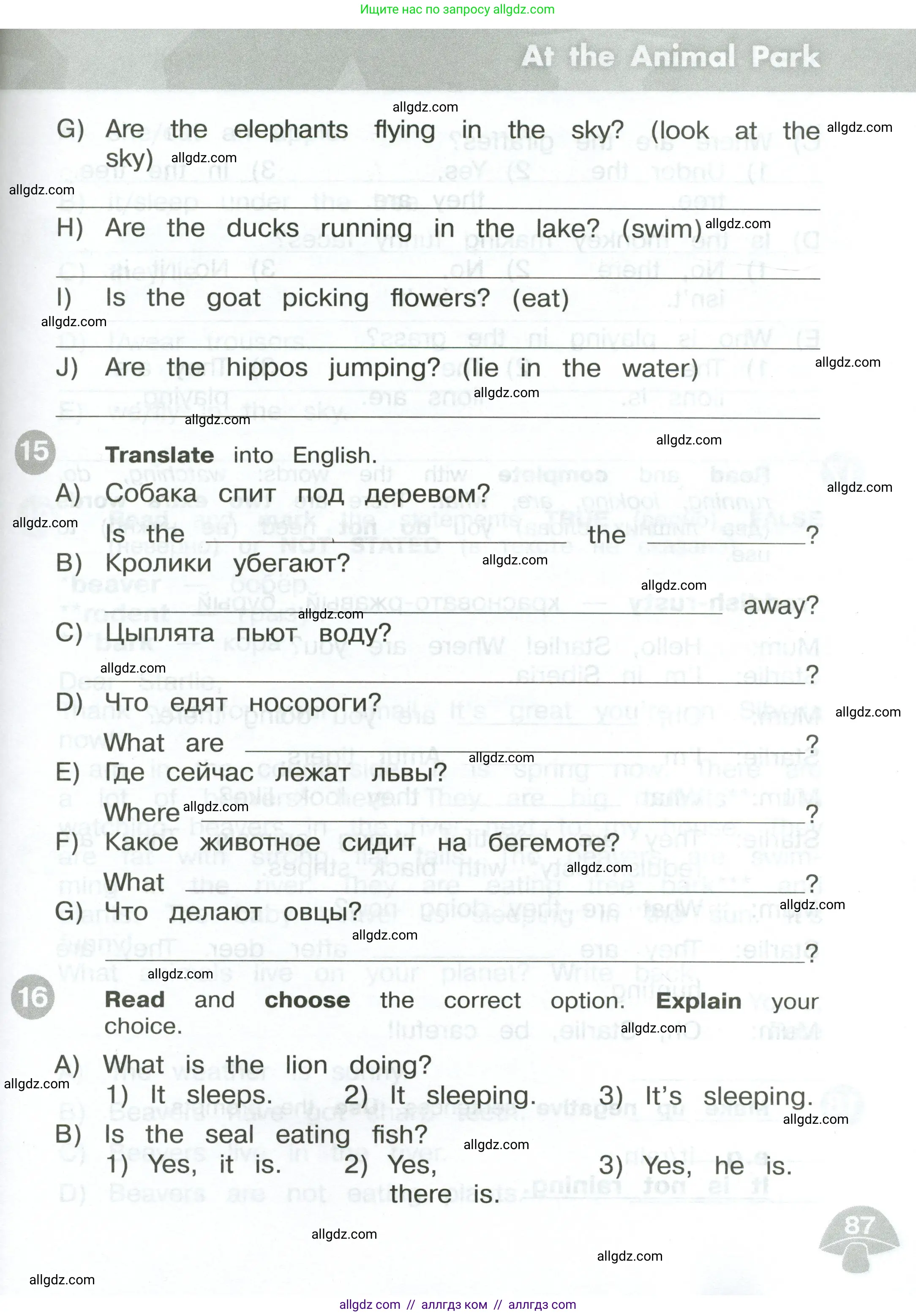 Английский язык (english), 3 класс Сборник упражнений, автор: Котова Марина Петровна, издательство Просвещение, Москва, 2024, белого цвета, страница 87