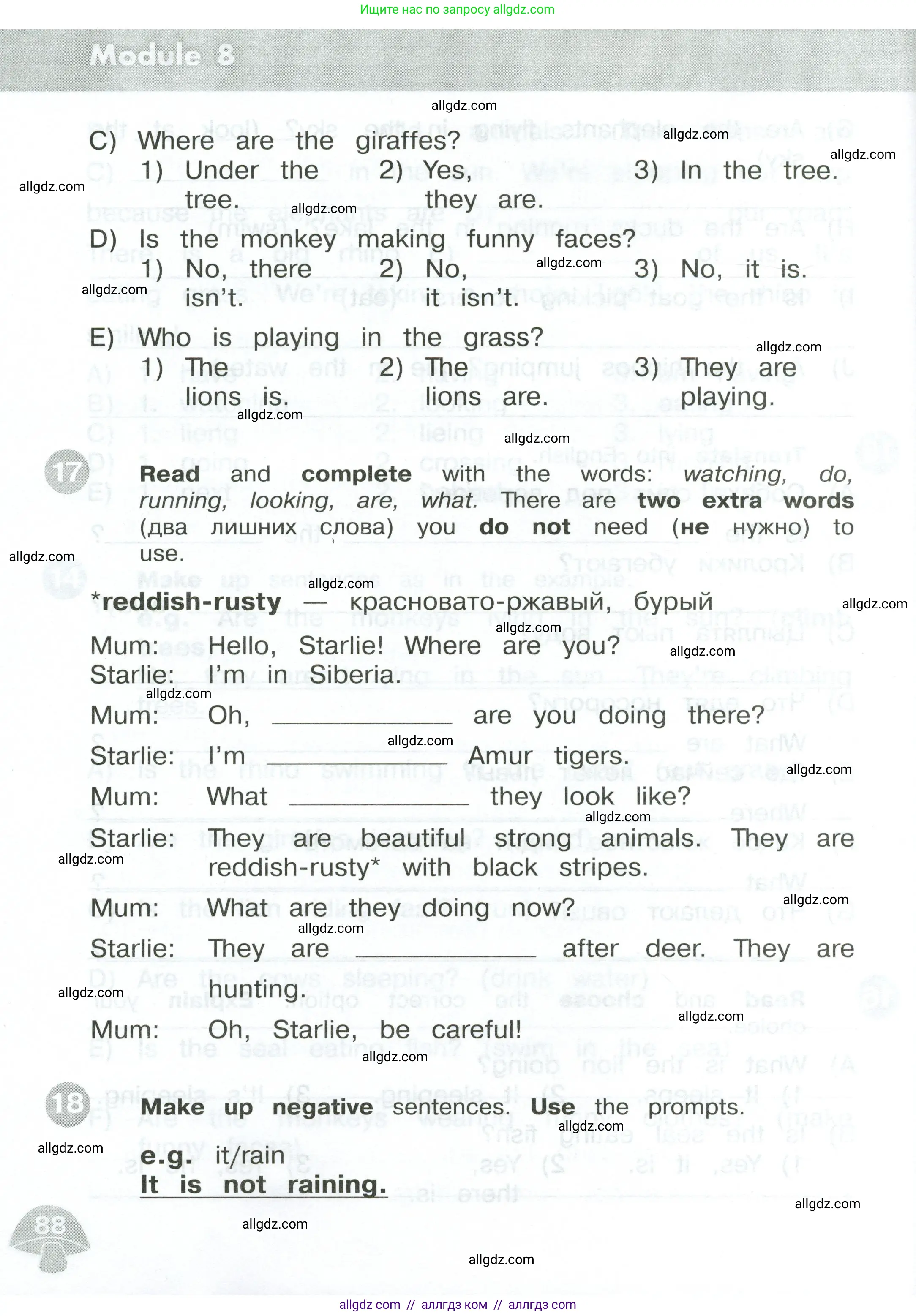 Английский язык (english), 3 класс Сборник упражнений, автор: Котова Марина Петровна, издательство Просвещение, Москва, 2024, белого цвета, страница 88