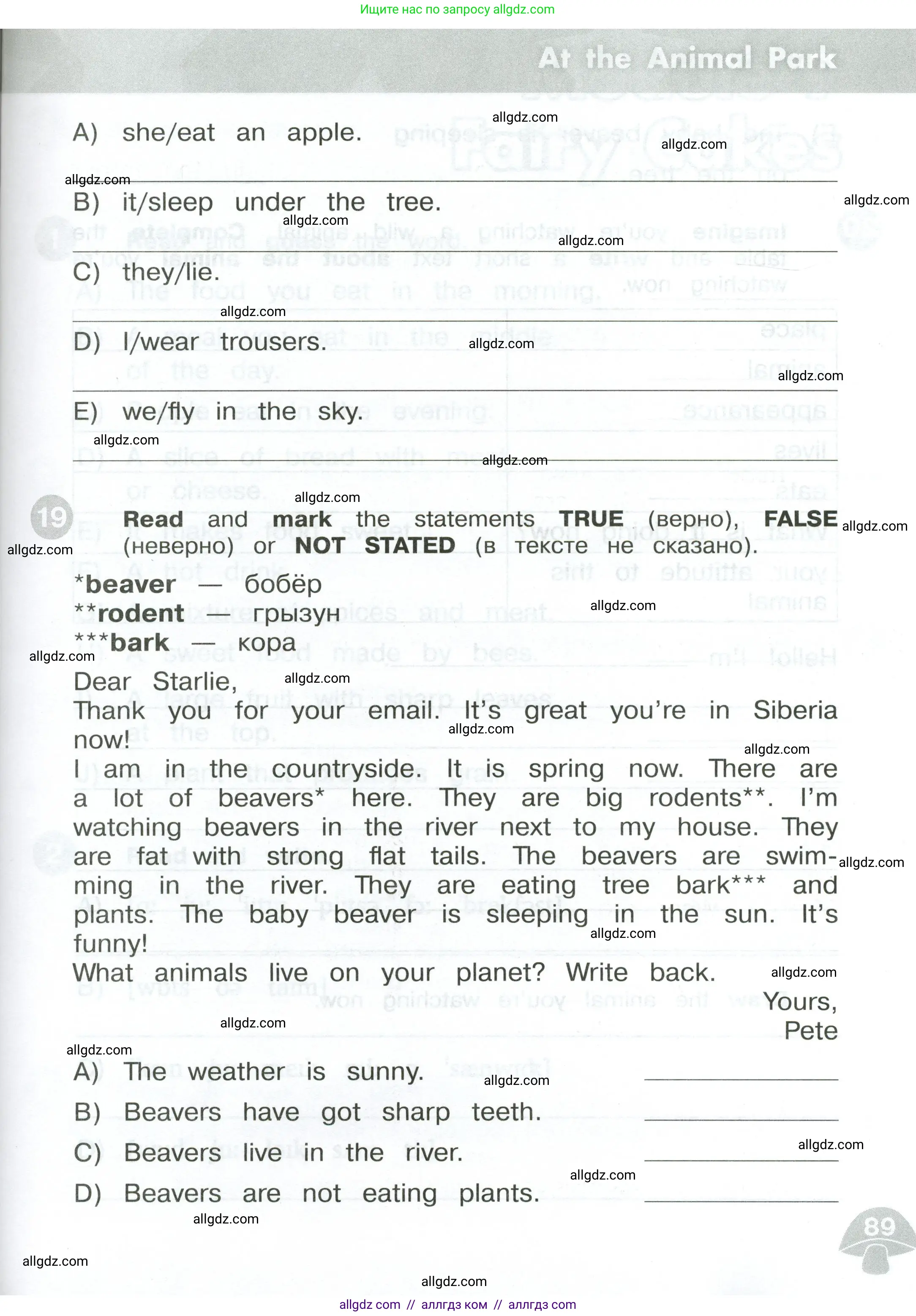 Английский язык (english), 3 класс Сборник упражнений, автор: Котова Марина Петровна, издательство Просвещение, Москва, 2024, белого цвета, страница 89