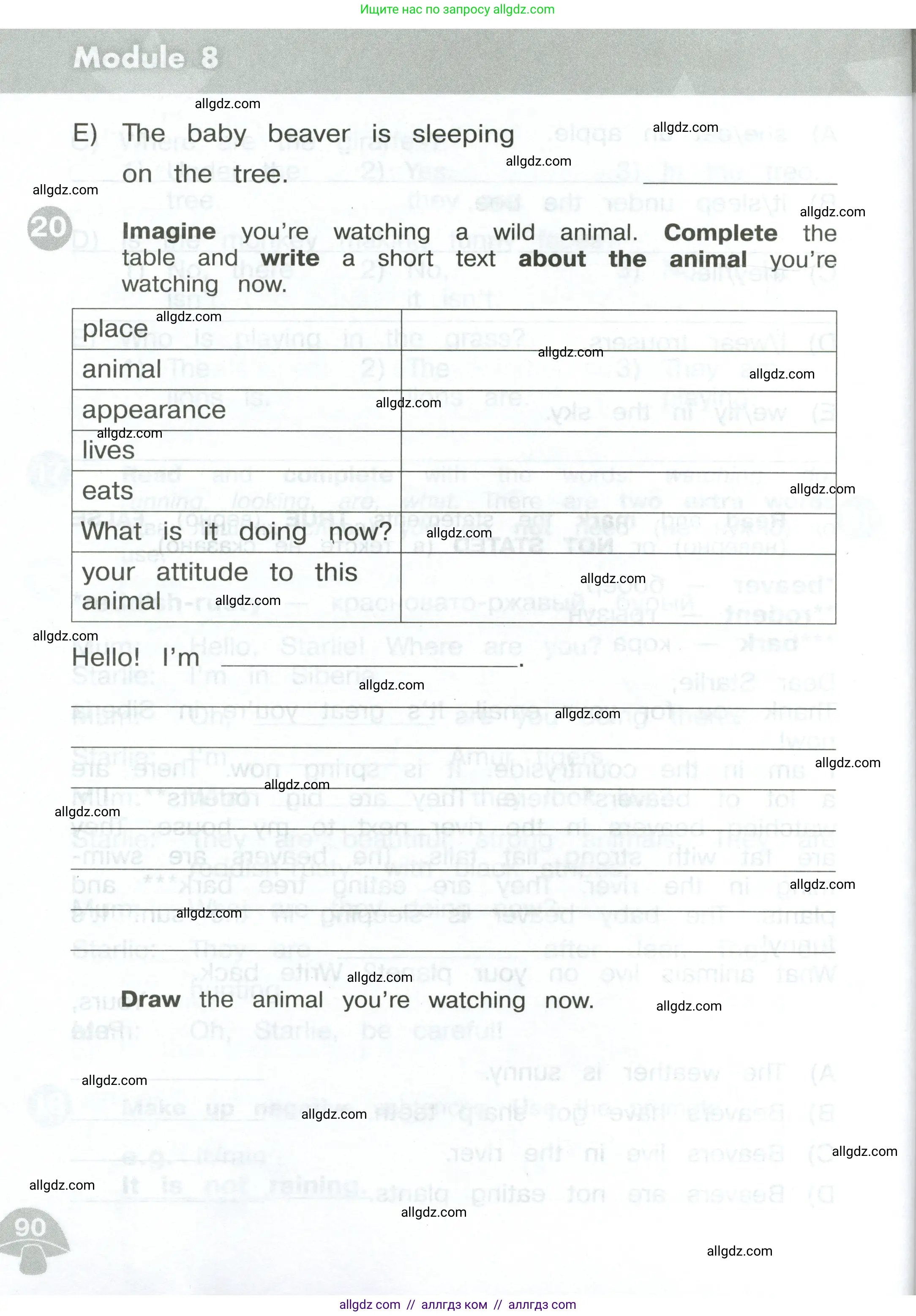 Английский язык (english), 3 класс Сборник упражнений, автор: Котова Марина Петровна, издательство Просвещение, Москва, 2024, белого цвета, страница 90