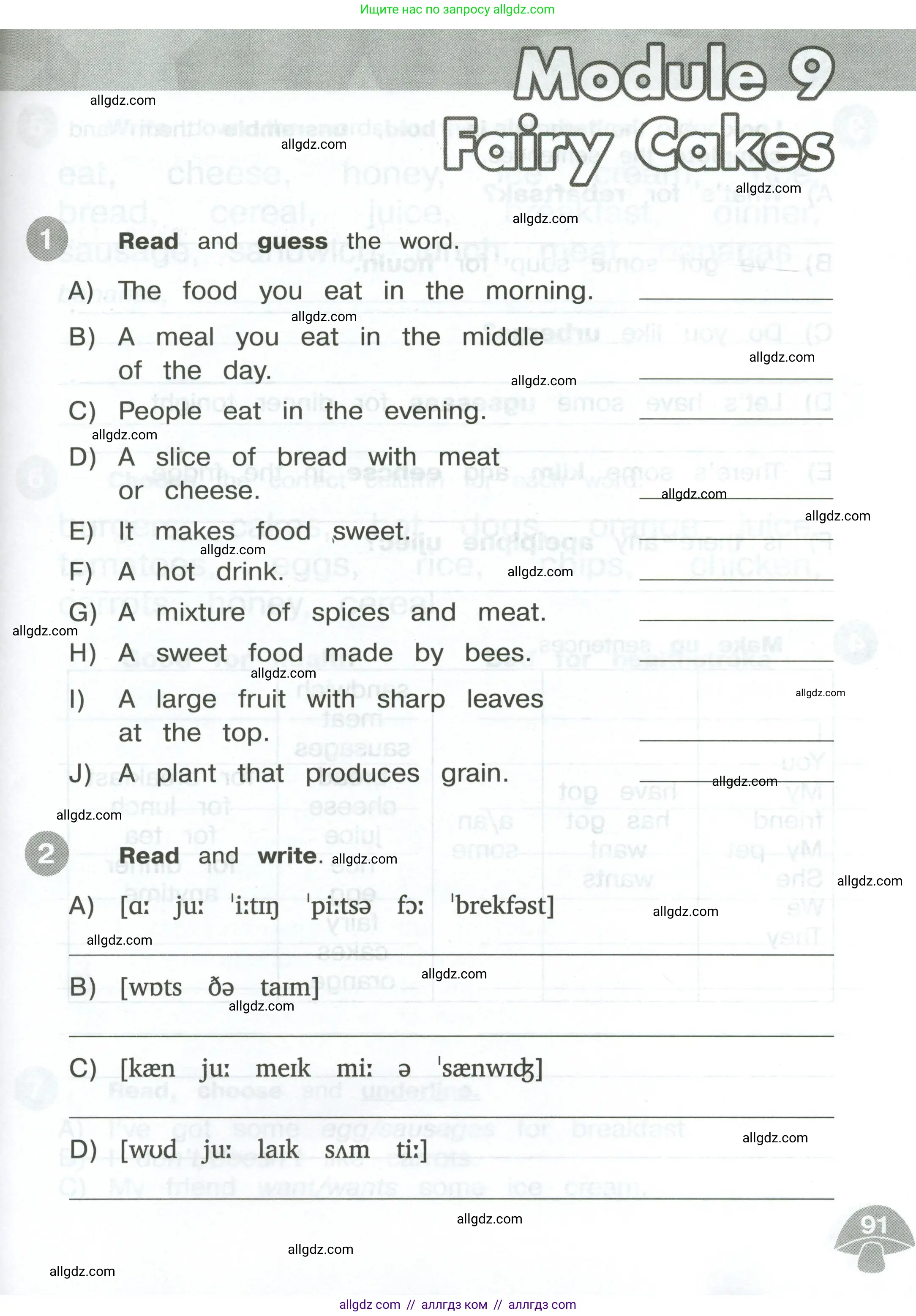 Английский язык (english), 3 класс Сборник упражнений, автор: Котова Марина Петровна, издательство Просвещение, Москва, 2024, белого цвета, страница 91