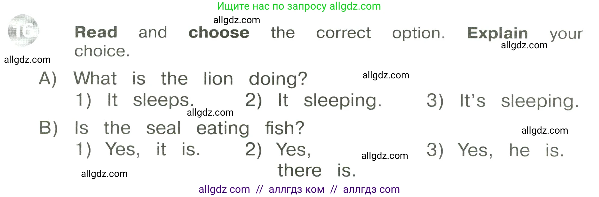 Английский язык (english), 3 класс Сборник упражнений, автор: Котова Марина Петровна, издательство Просвещение, Москва, 2024, белого цвета, страница 87, номер 16, Условие