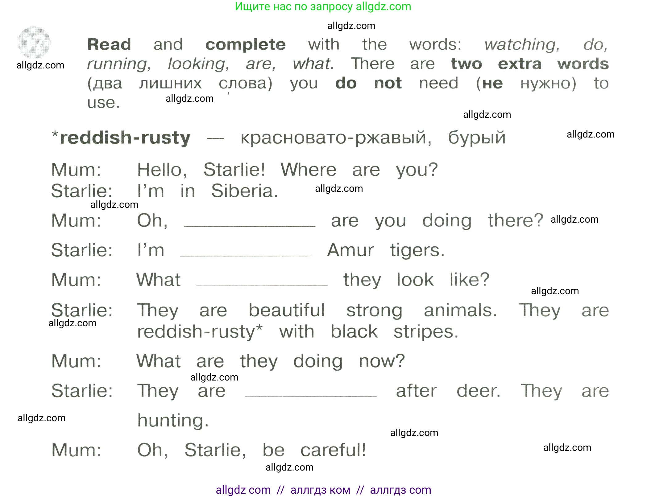 Английский язык (english), 3 класс Сборник упражнений, автор: Котова Марина Петровна, издательство Просвещение, Москва, 2024, белого цвета, страница 88, номер 17, Условие