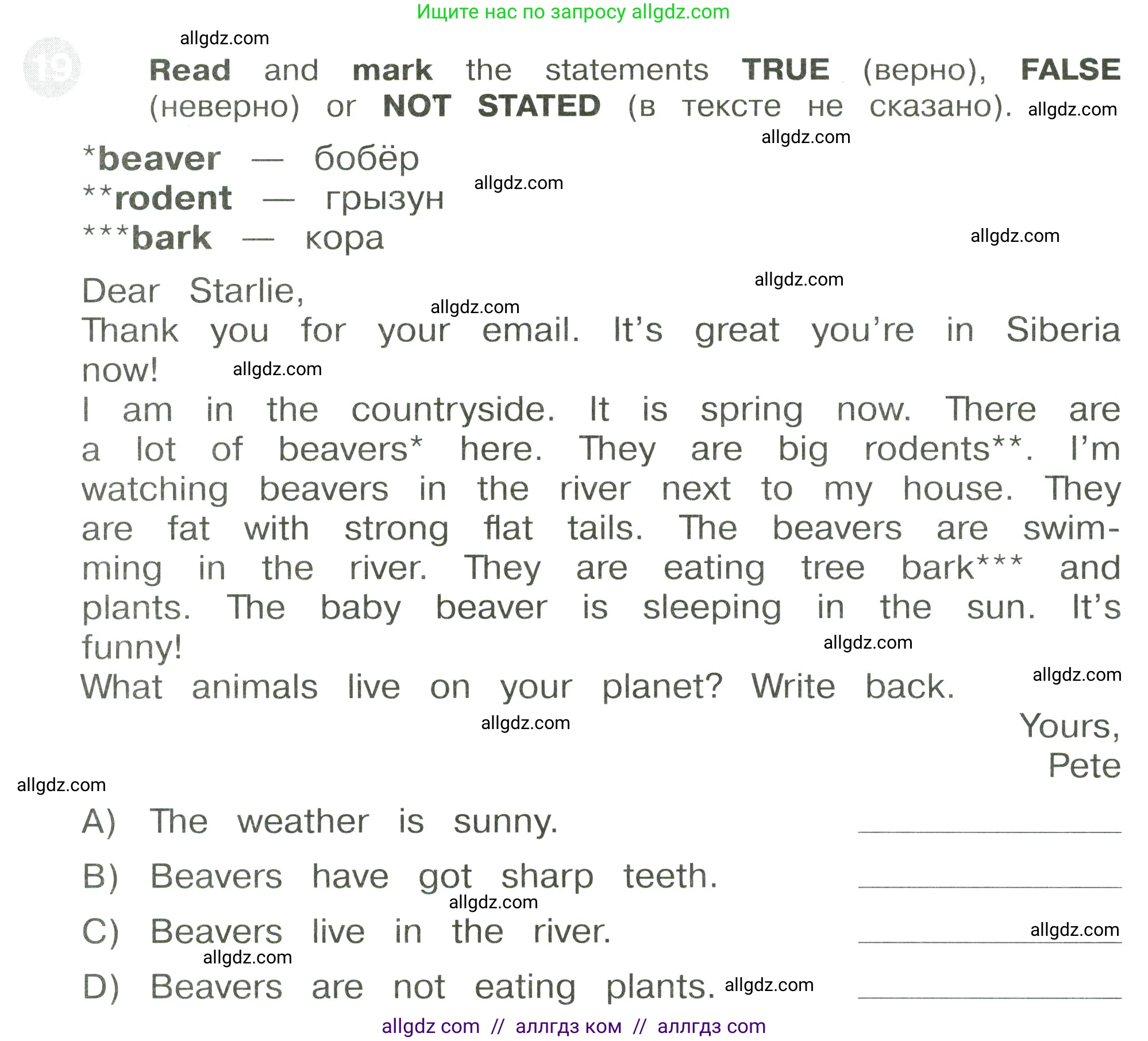 Английский язык (english), 3 класс Сборник упражнений, автор: Котова Марина Петровна, издательство Просвещение, Москва, 2024, белого цвета, страница 89, номер 19, Условие