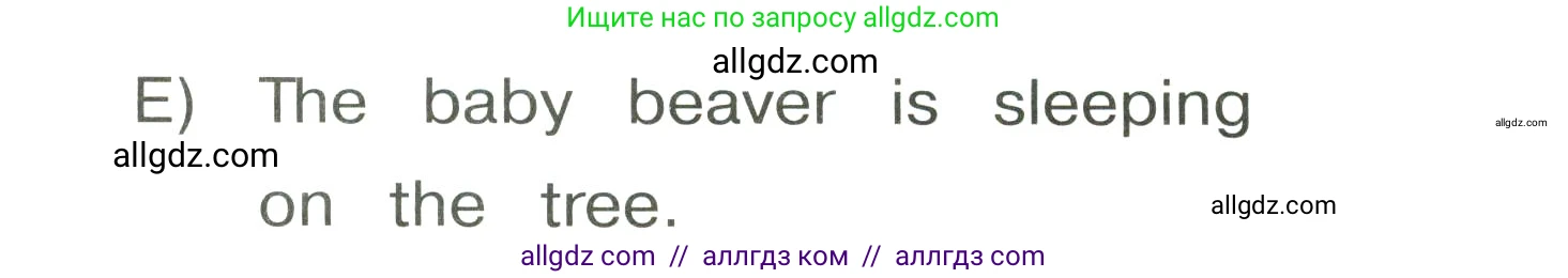 Английский язык (english), 3 класс Сборник упражнений, автор: Котова Марина Петровна, издательство Просвещение, Москва, 2024, белого цвета, страница 89, номер 19, Условие (продолжение 2)