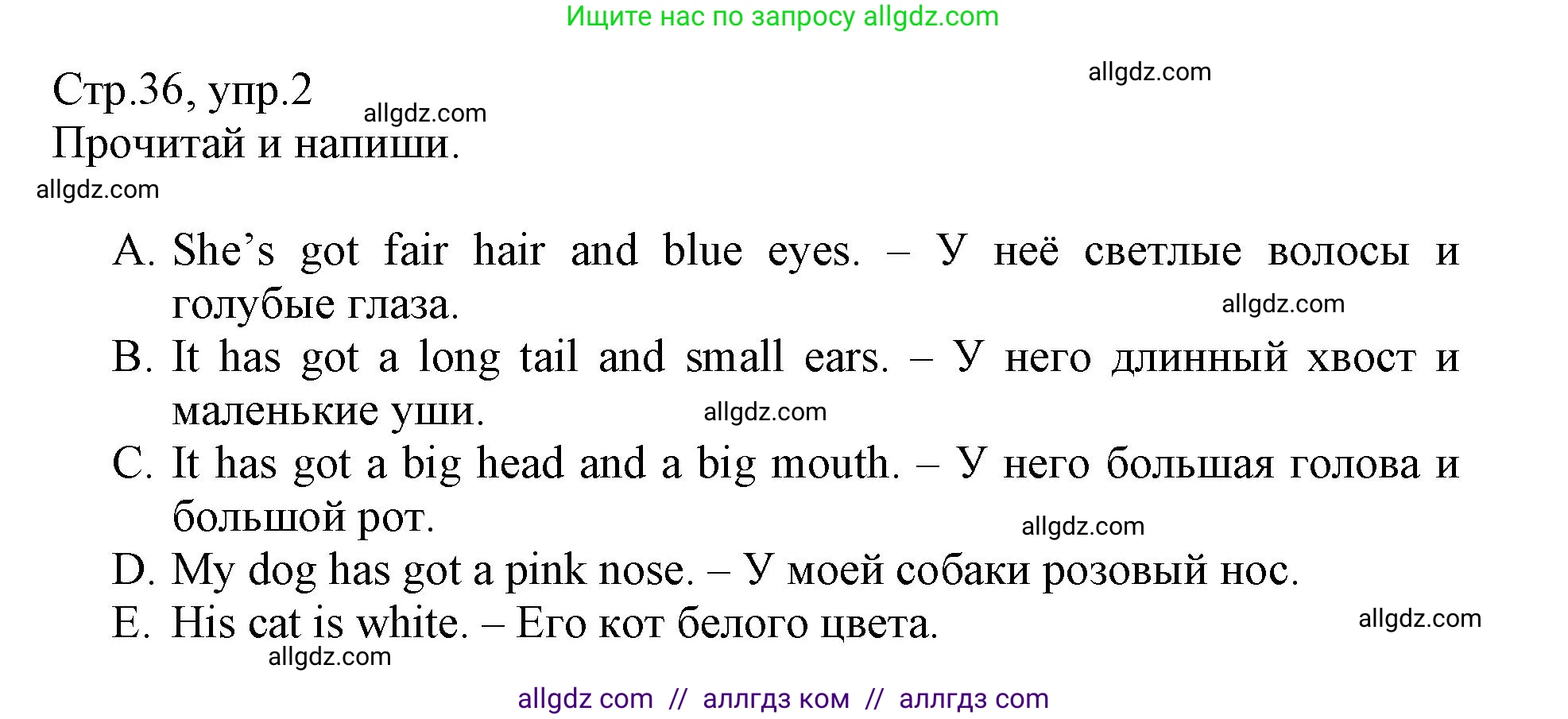 Английский язык (english), 3 класс Сборник упражнений, автор: Котова Марина Петровна, издательство Просвещение, Москва, 2024, белого цвета, страница 36, номер 2, Решение