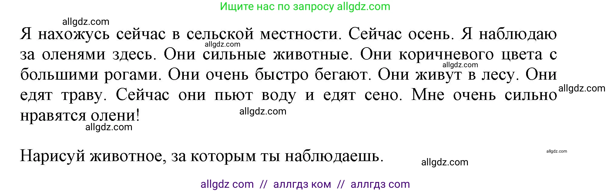 Английский язык (english), 3 класс Сборник упражнений, автор: Котова Марина Петровна, издательство Просвещение, Москва, 2024, белого цвета, страница 90, номер 20, Решение (продолжение 2)