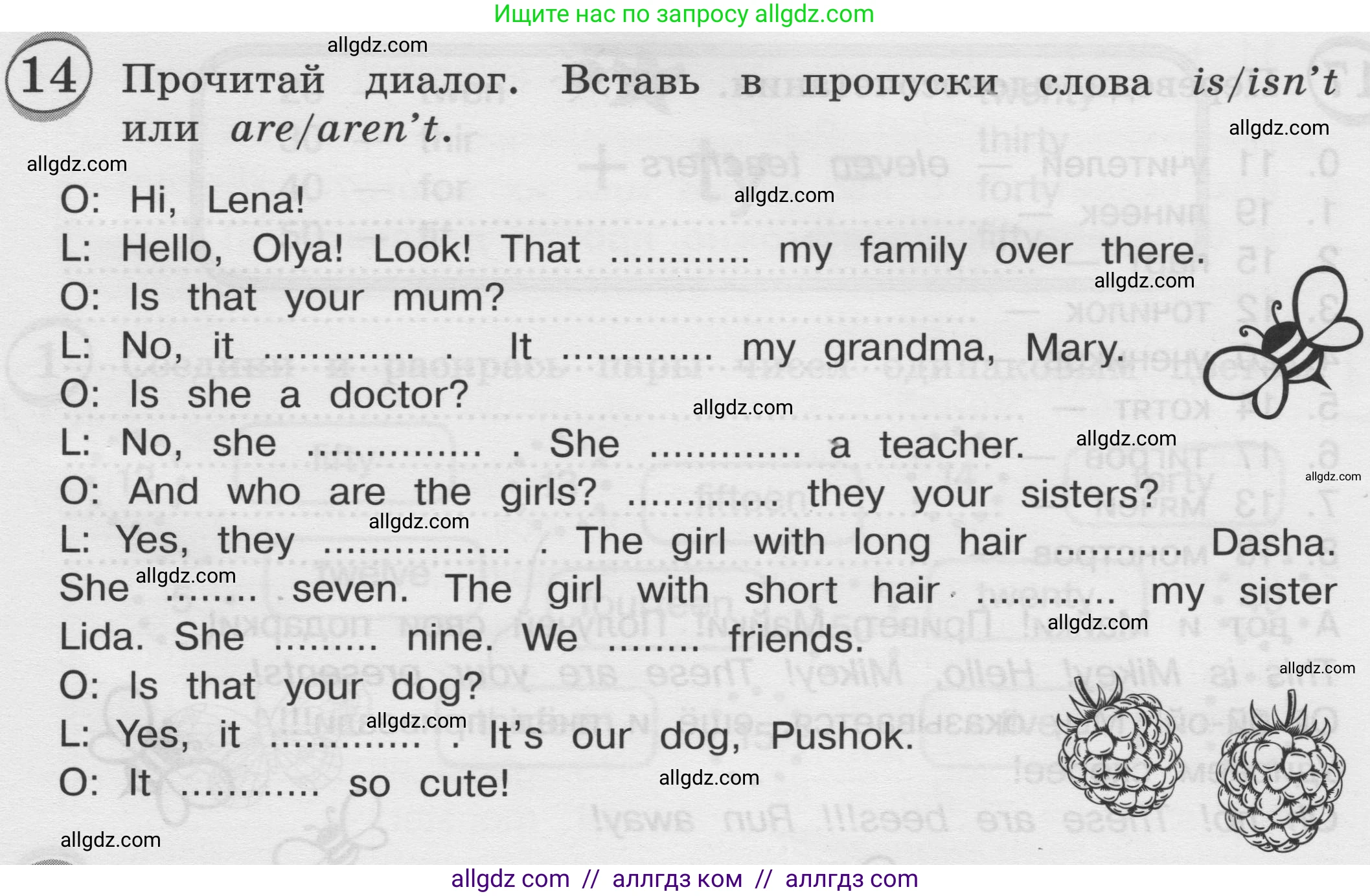 Английский язык (english), 3 класс сборник грамматических упражнений, автор: Рязанцева Светлана Борисовна, издательство Просвещение, Москва, 2024, белого цвета, страница 11, номер 14, Условие