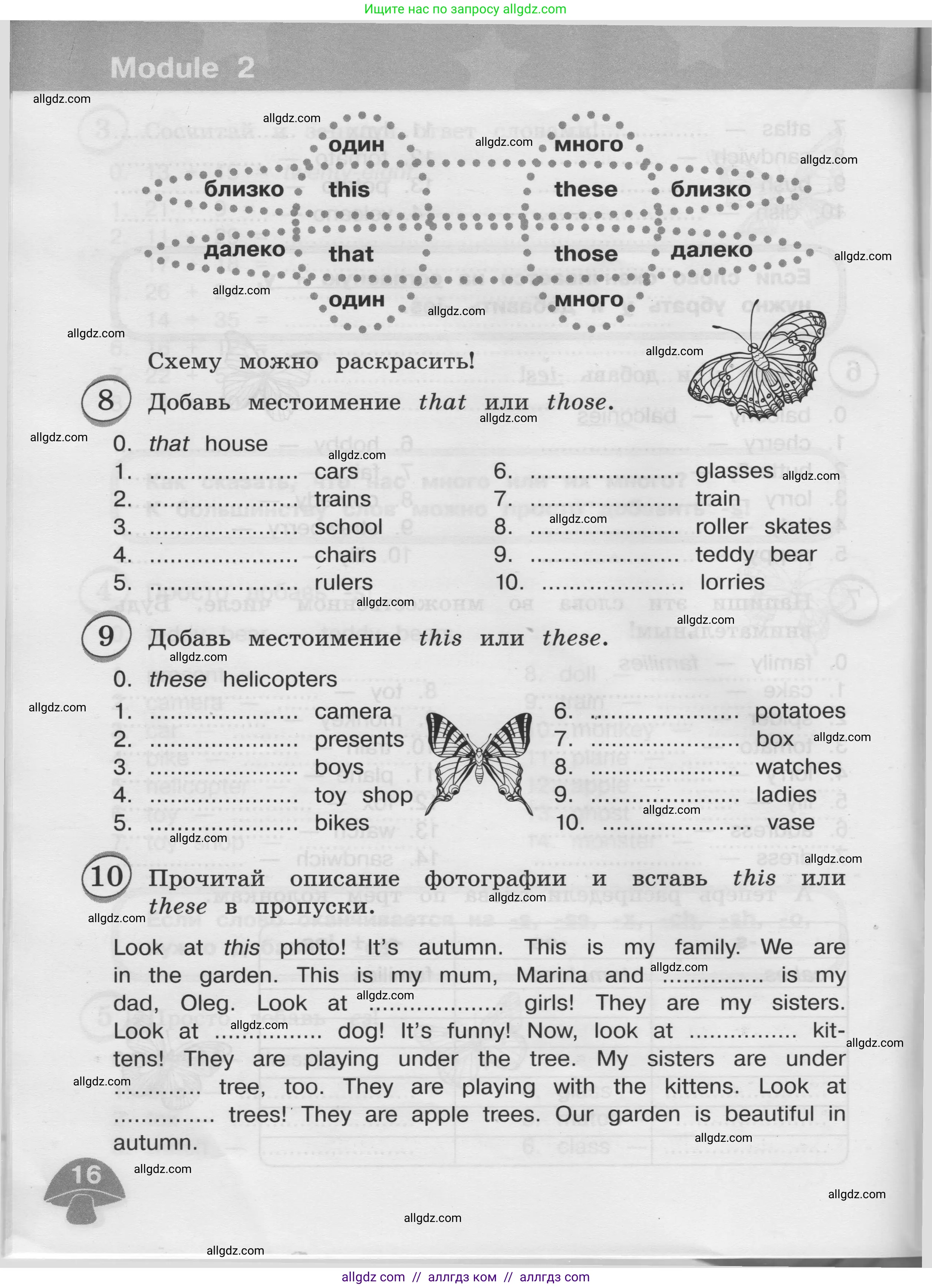 Английский язык (english), 3 класс сборник грамматических упражнений, автор: Рязанцева Светлана Борисовна, издательство Просвещение, Москва, 2024, белого цвета, страница 16